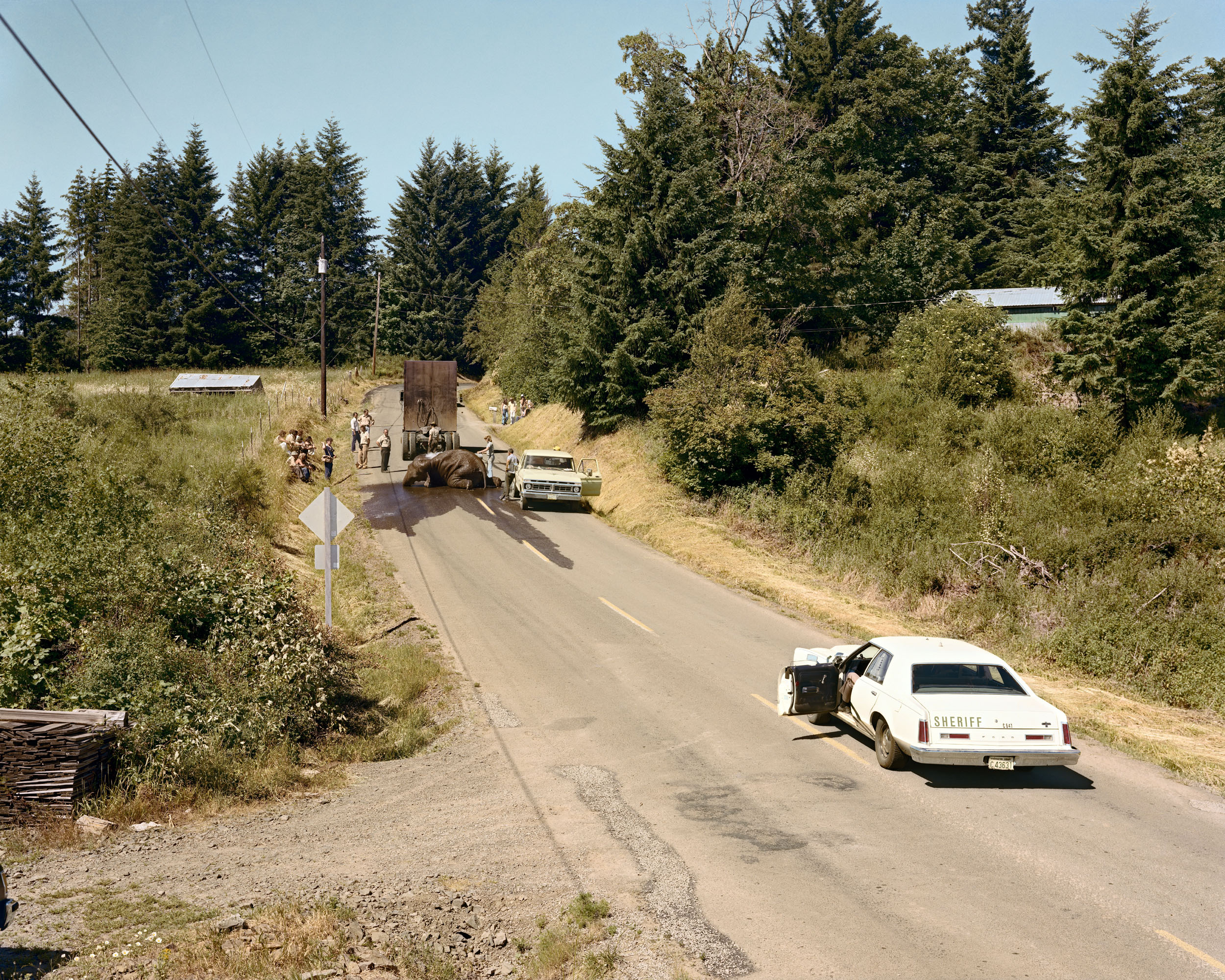 13_Exhausted Renegade Elephant, Woodland, Washington, June 1979.jpg