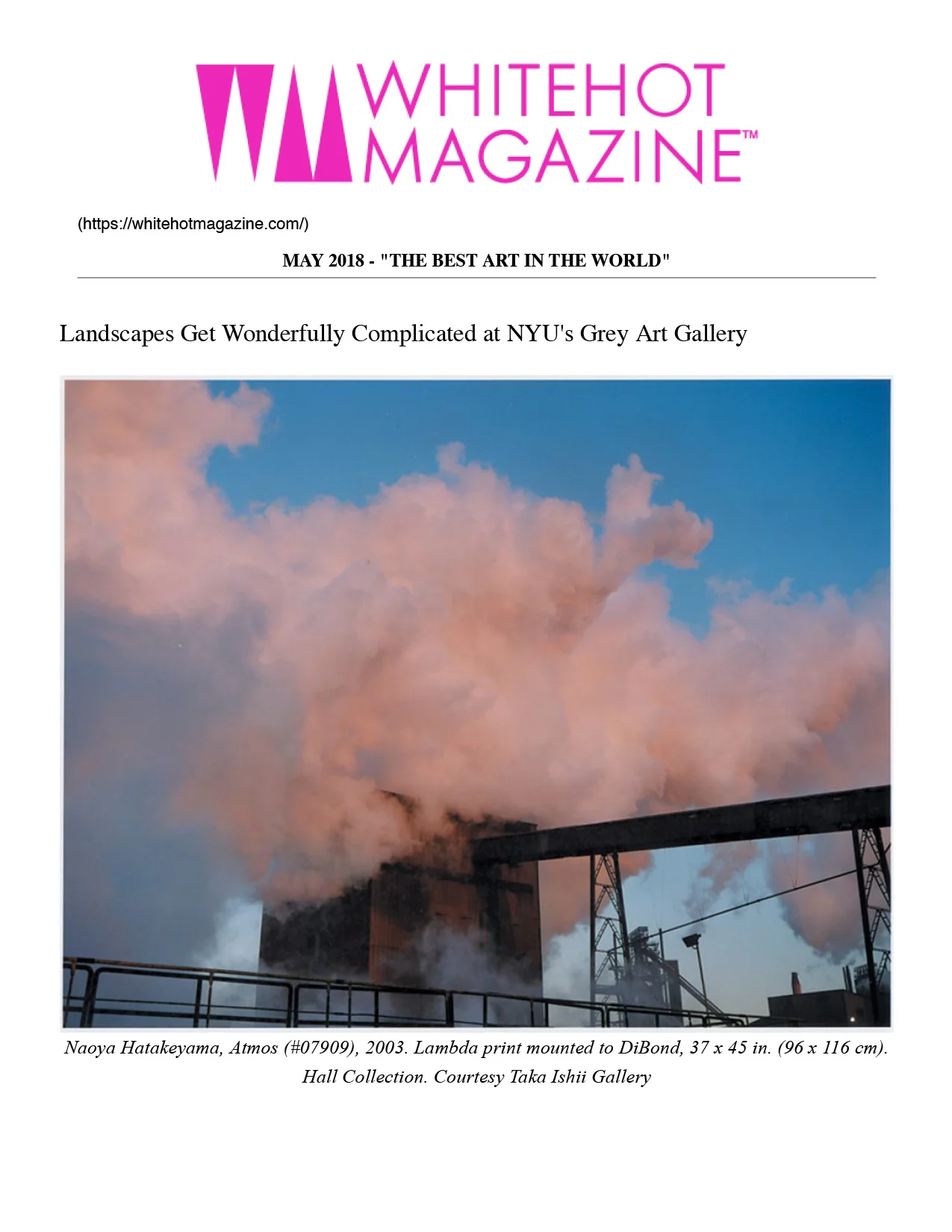 Landscapes Get Wonderfully Complicated at NYU's Grey Art Gallery