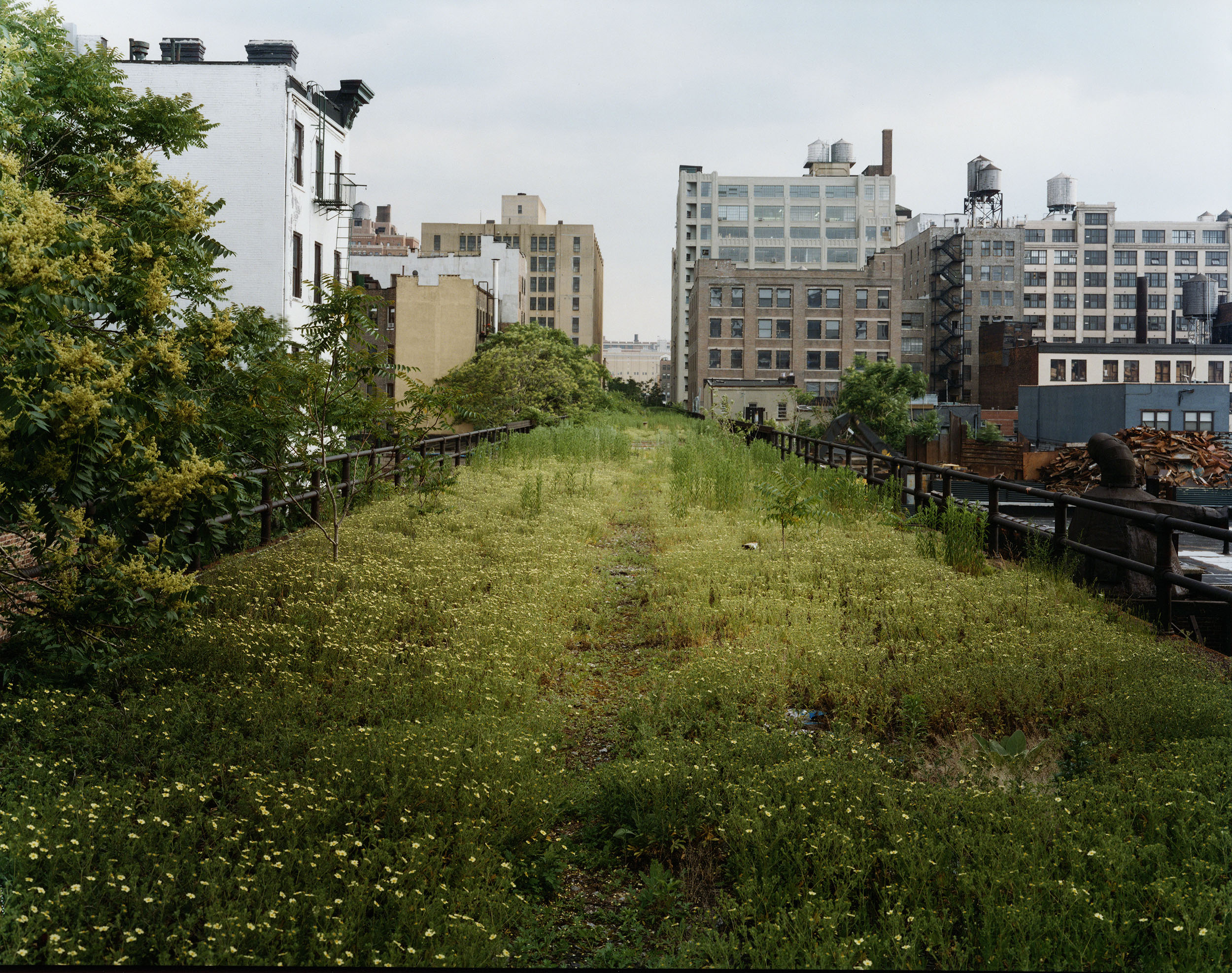 Looking South on an Afternoon in June, 2000