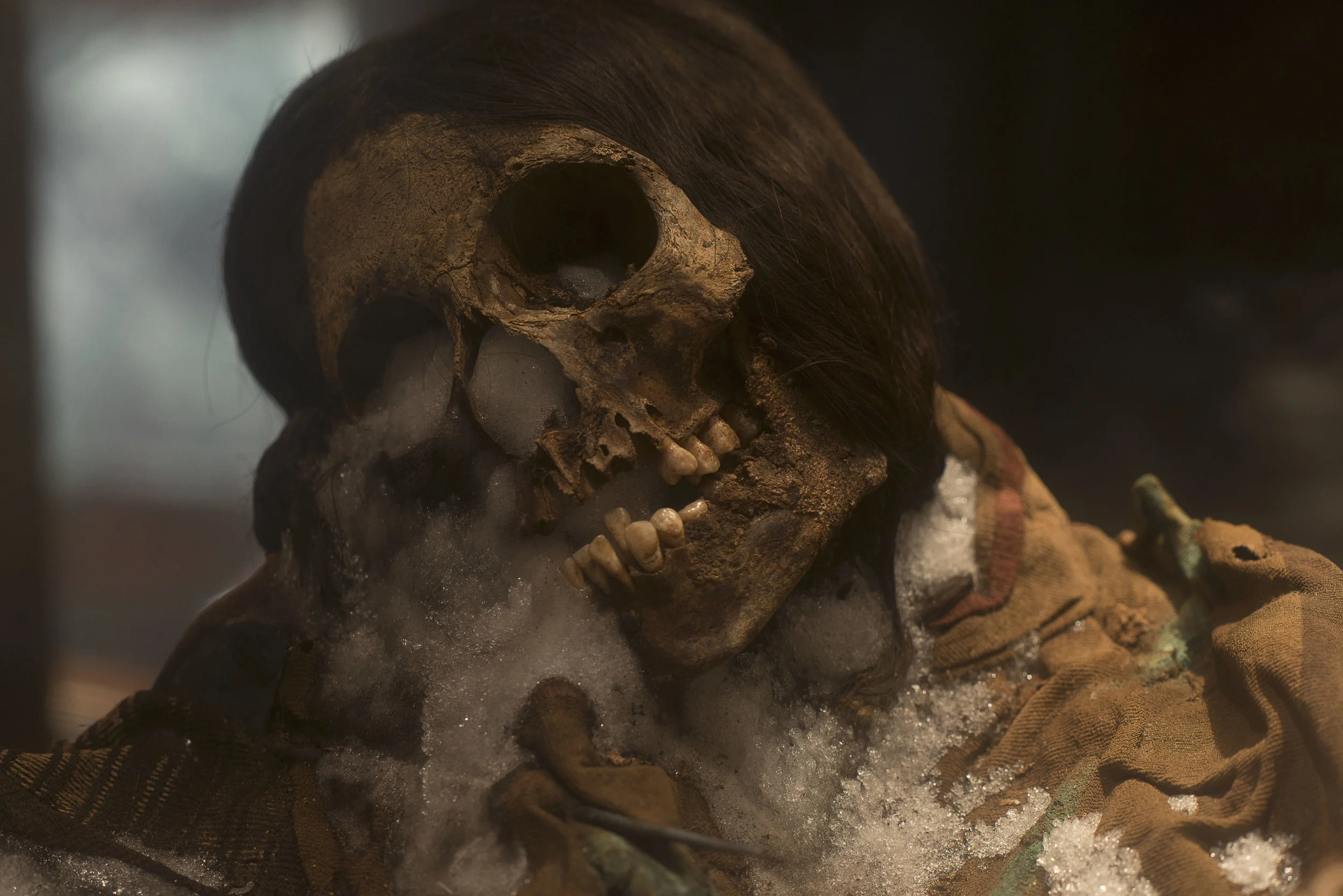 Mummy “Sarita”, Museo Santuarios Andinos, Arequipa, Perú