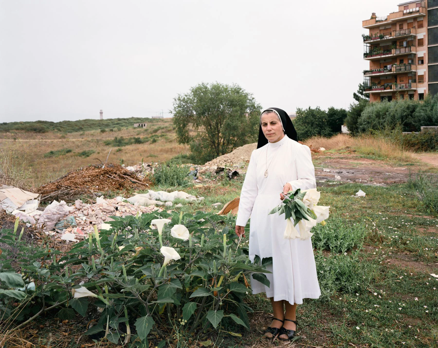 Picking angel's-trumpets behind the convent, Via M. Bartoli, Rom