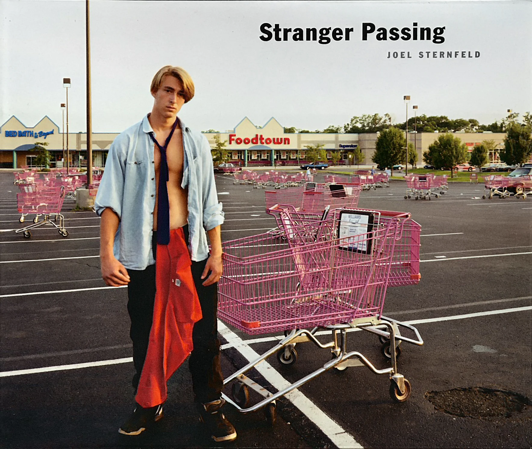 Stranger Passing