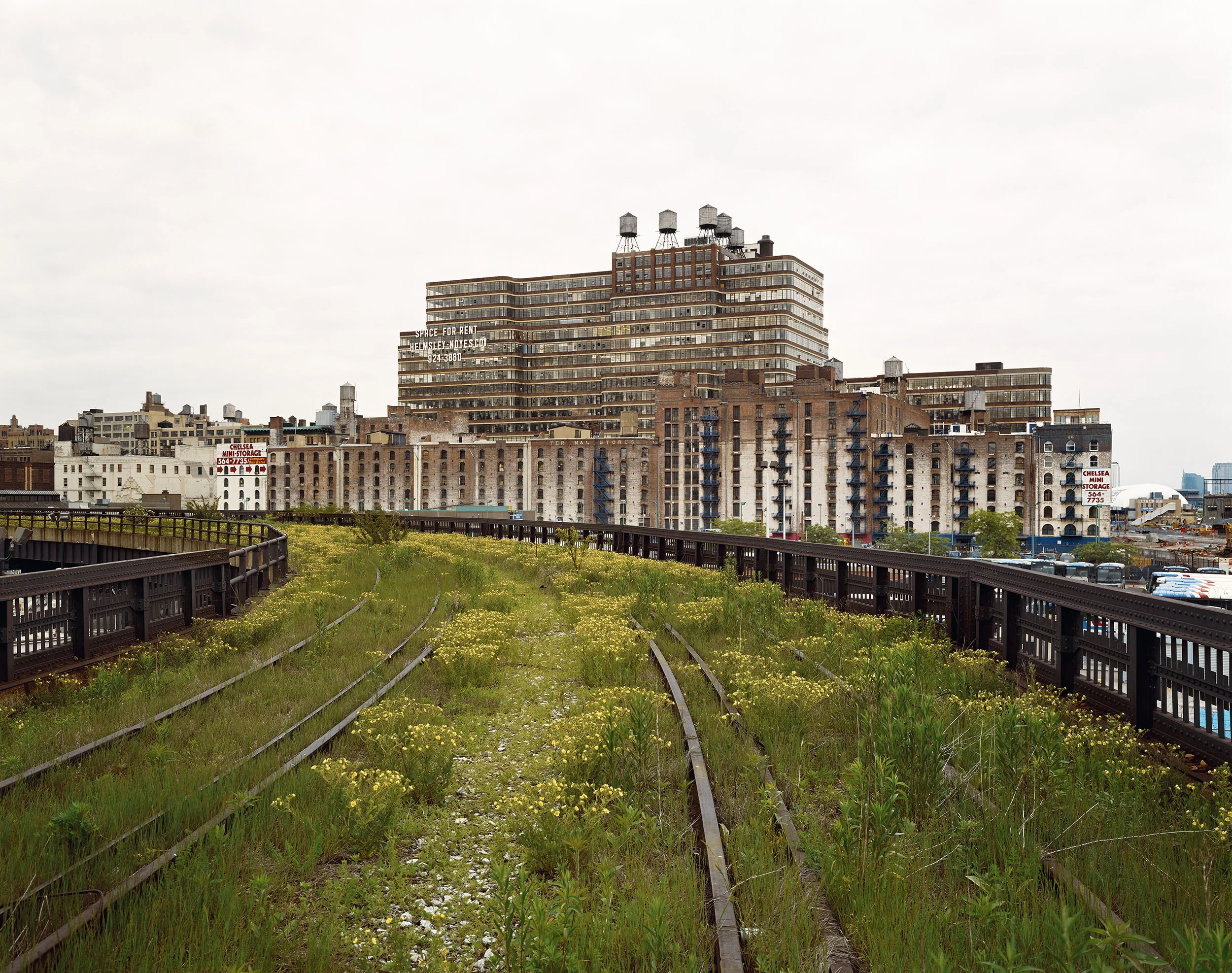 Walking the High Line