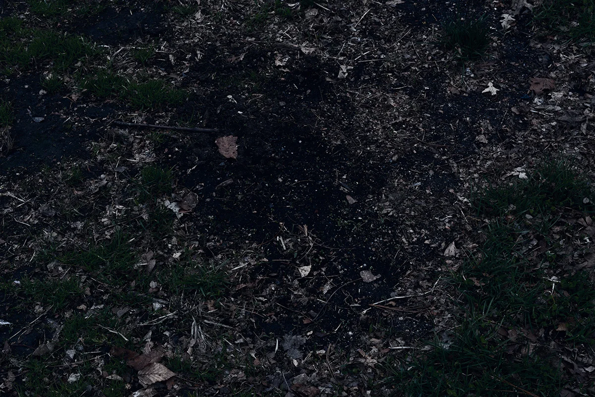 April 14, 2019