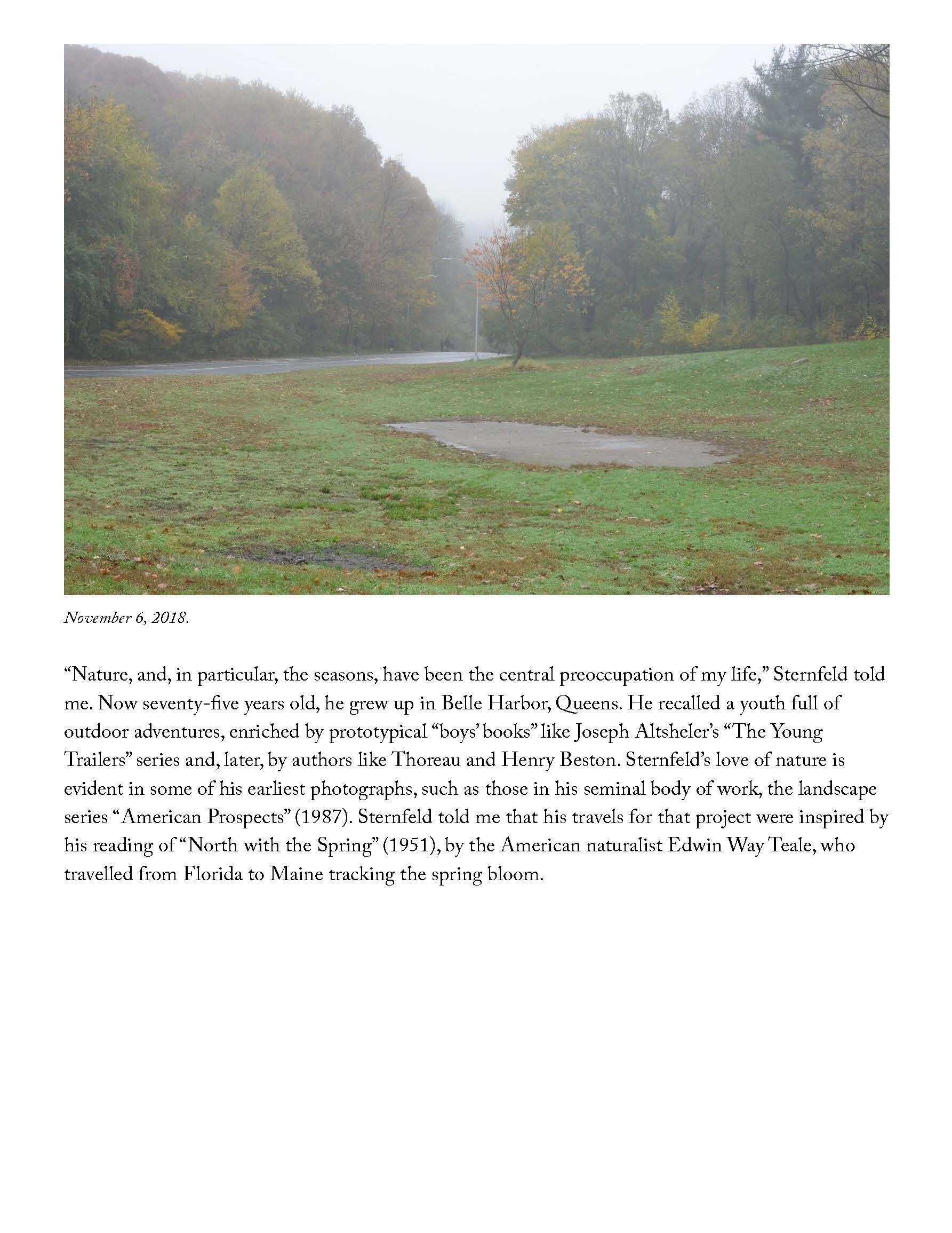 The Site of an Environmentalist’s Deadly Act of Protest _ The New Yorker_Page_08.jpg