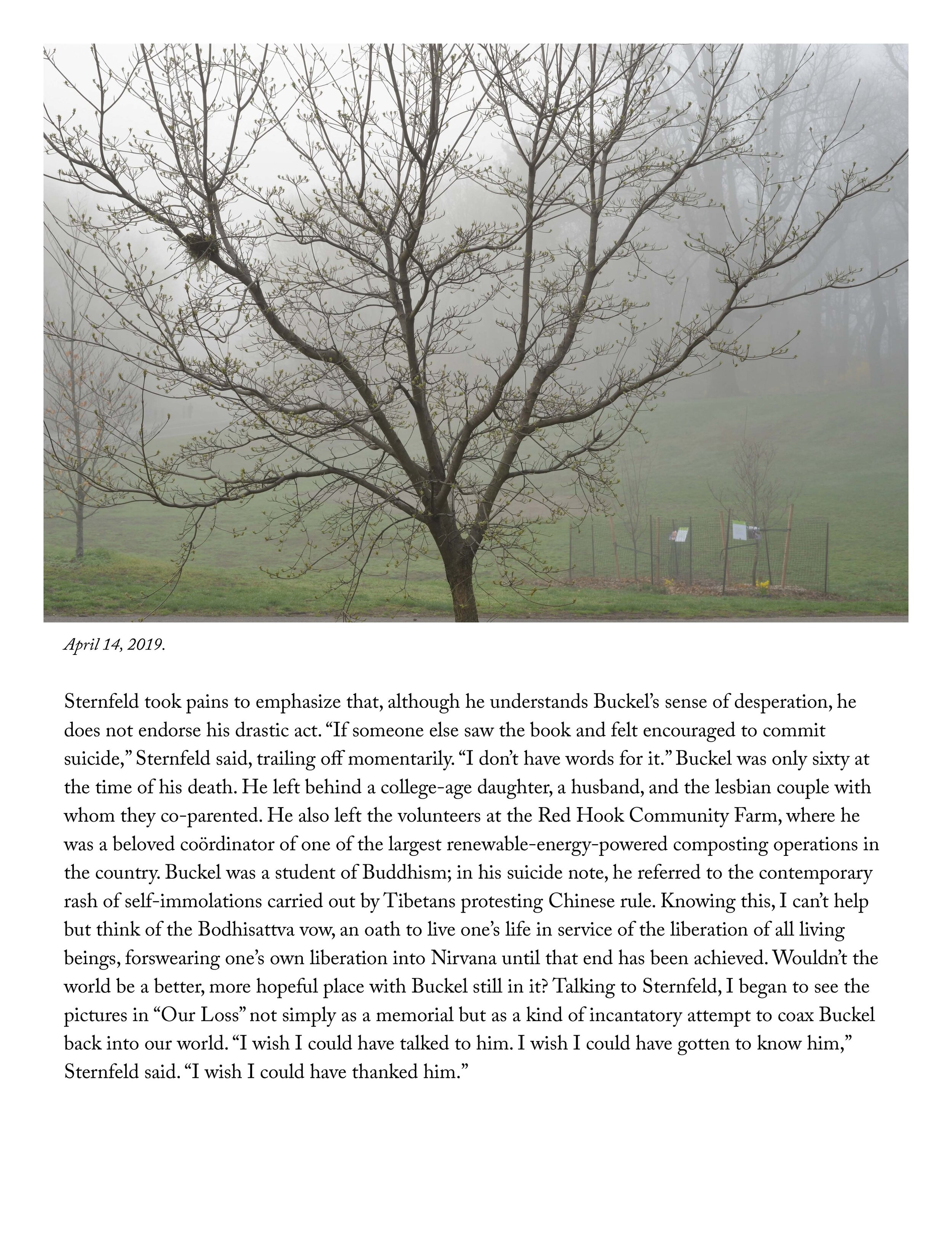 The Site of an Environmentalist’s Deadly Act of Protest _ The New Yorker_Page_15.jpg