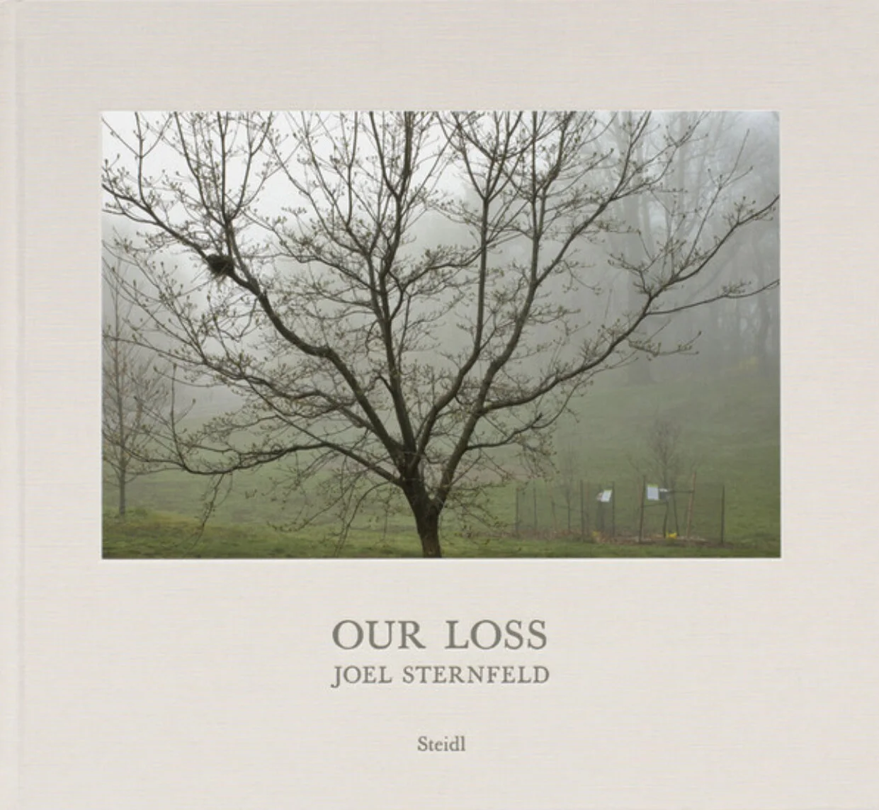 Our Loss