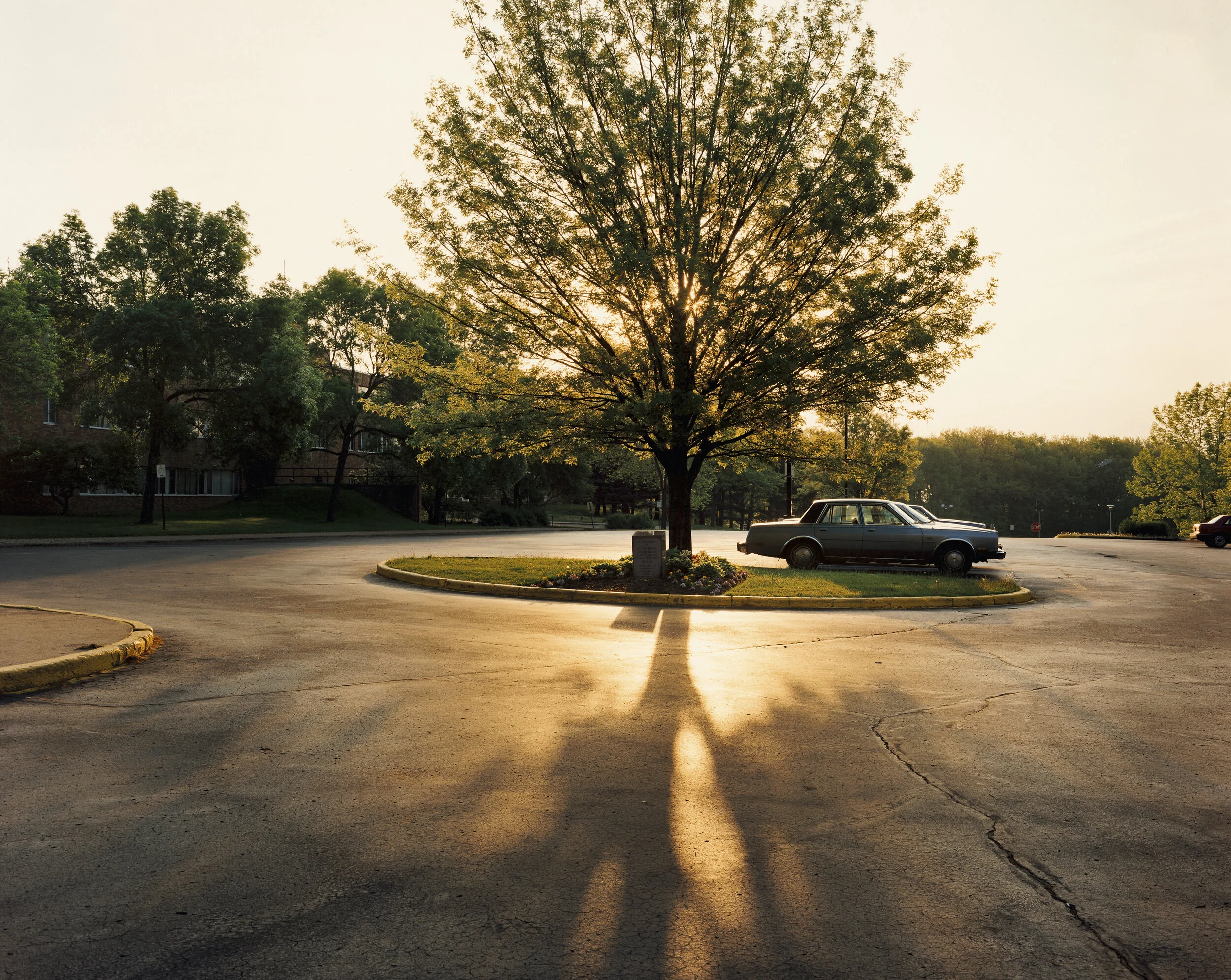 On This Site — Joel Sternfeld