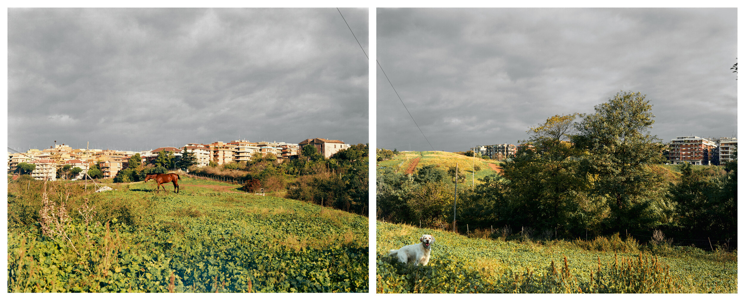 A View from the Caffarella Park towards the Via Latina, Rome, September 1990