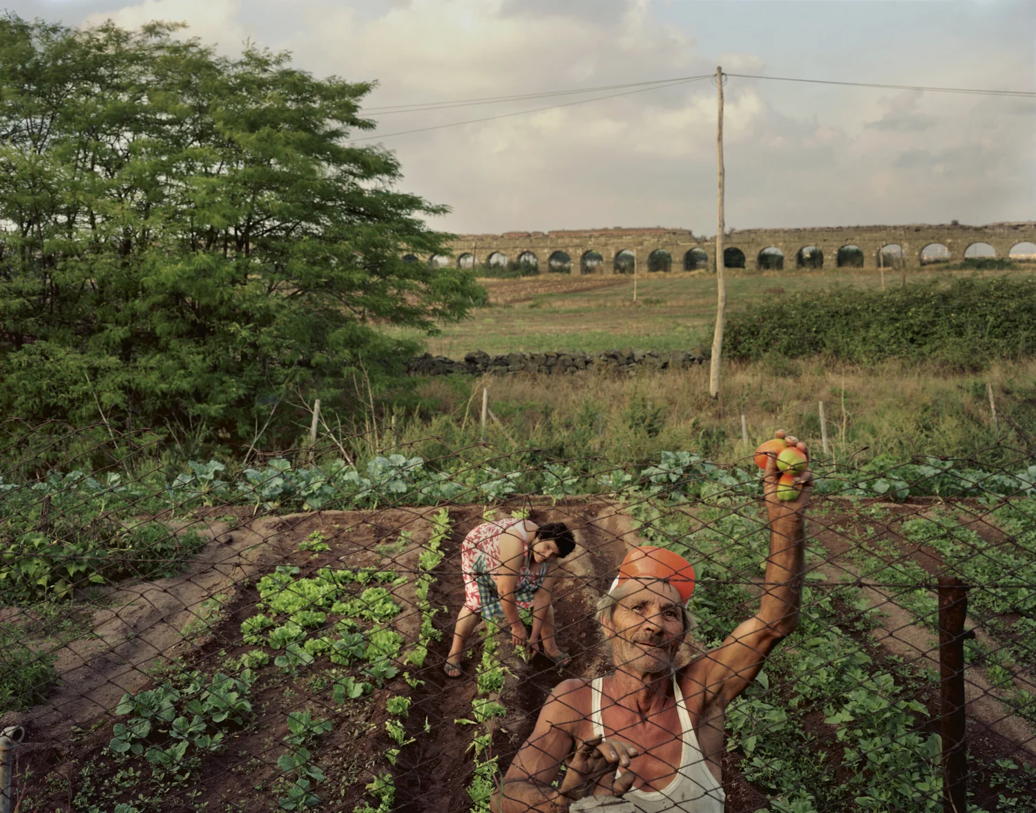 Rome After Rome top — Joel Sternfeld