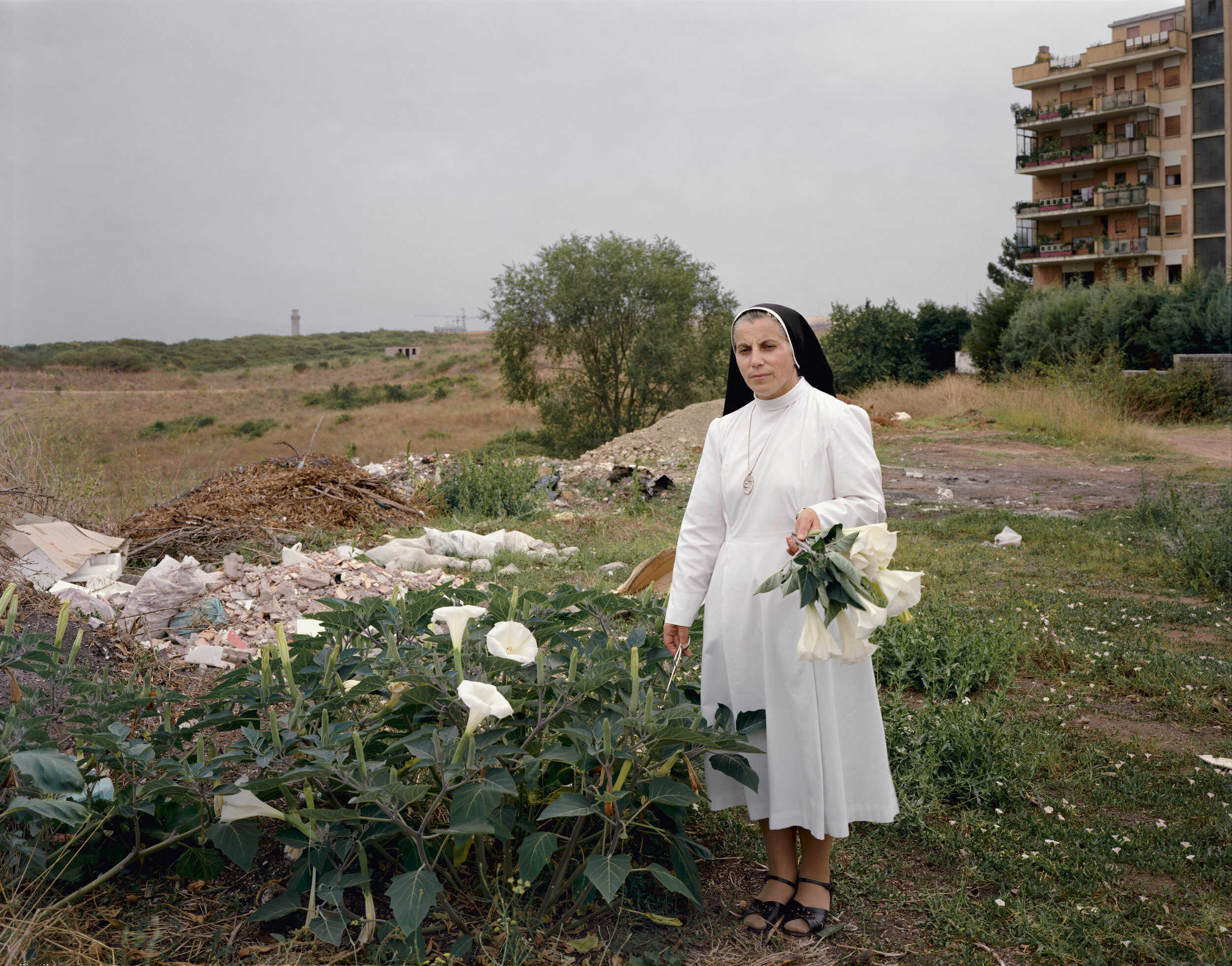 Picking angel’s -trumpets behind a convent, Via M. Bartoli, Rome, September 1990