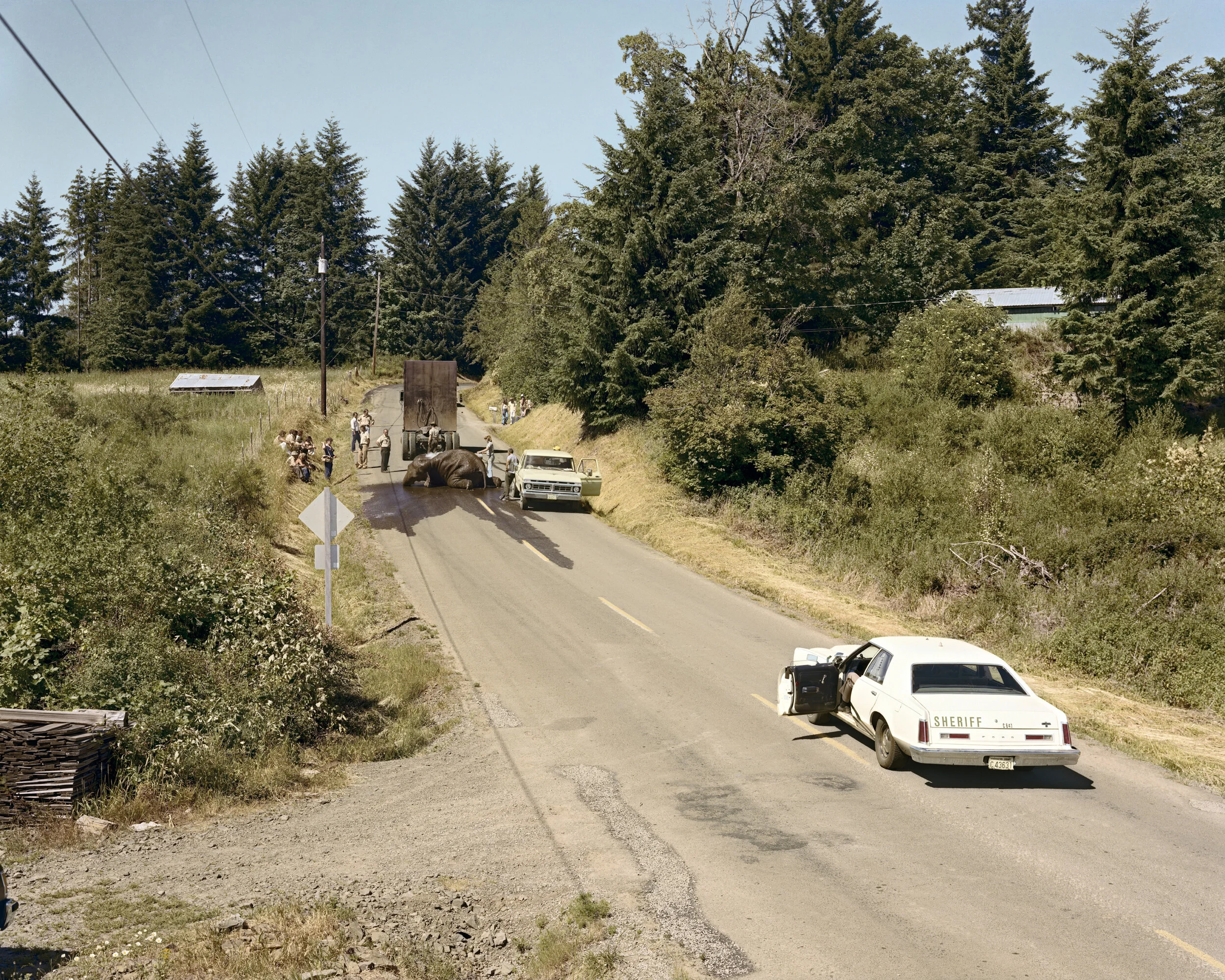 The Elephant, The Photographer, and the Sheriff