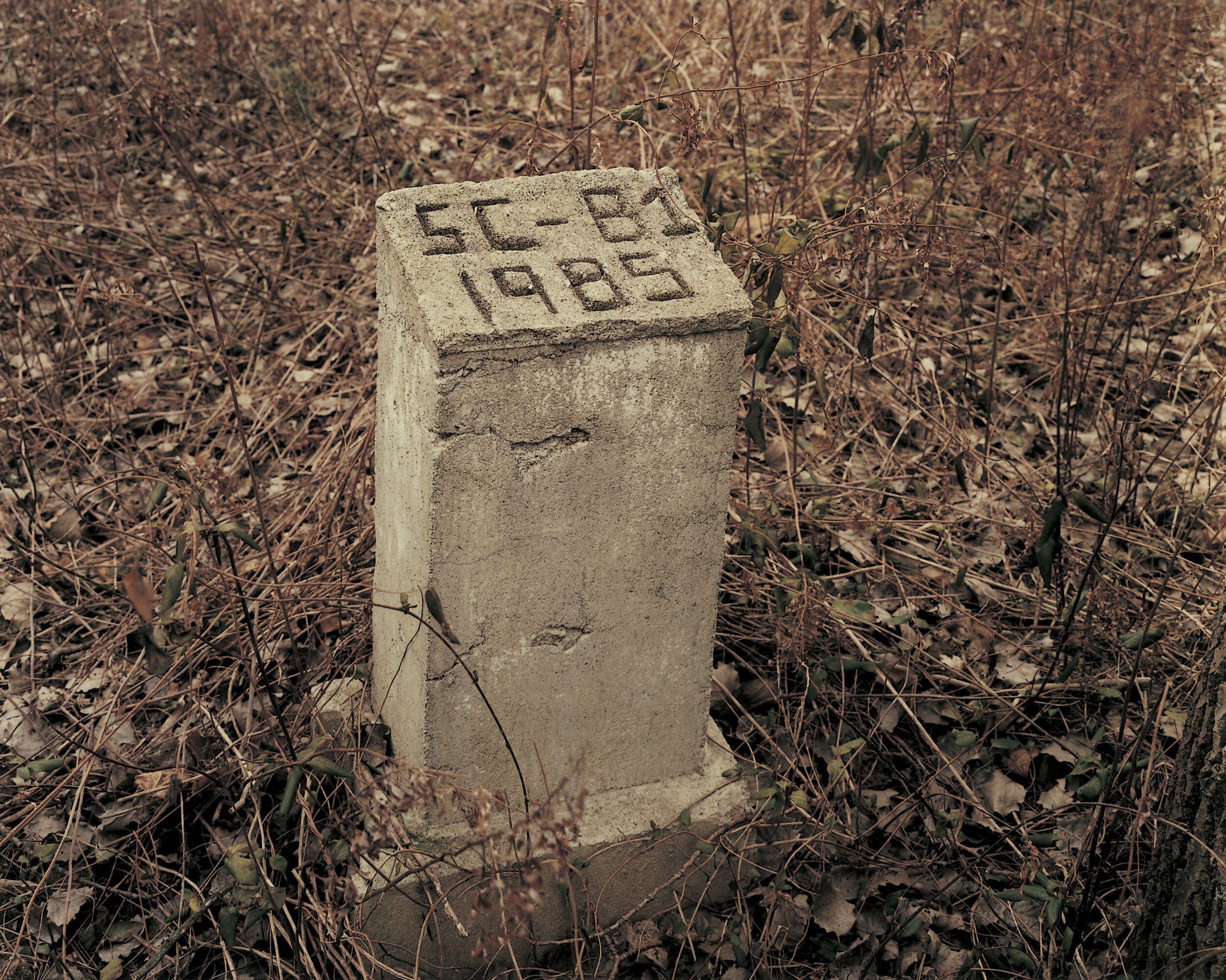 Grave of the first New York City child to die of AIDS and be buried on Hart Island, March 1992