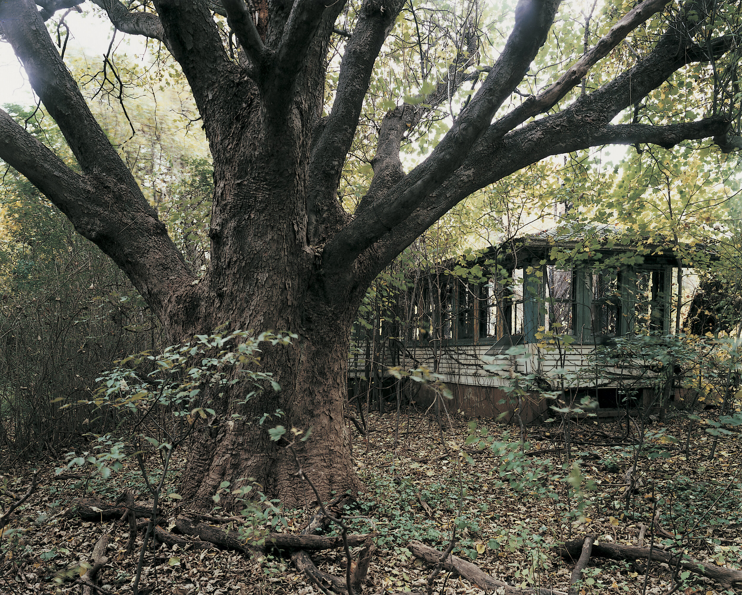 Ruins of the warden’s house, May 1993