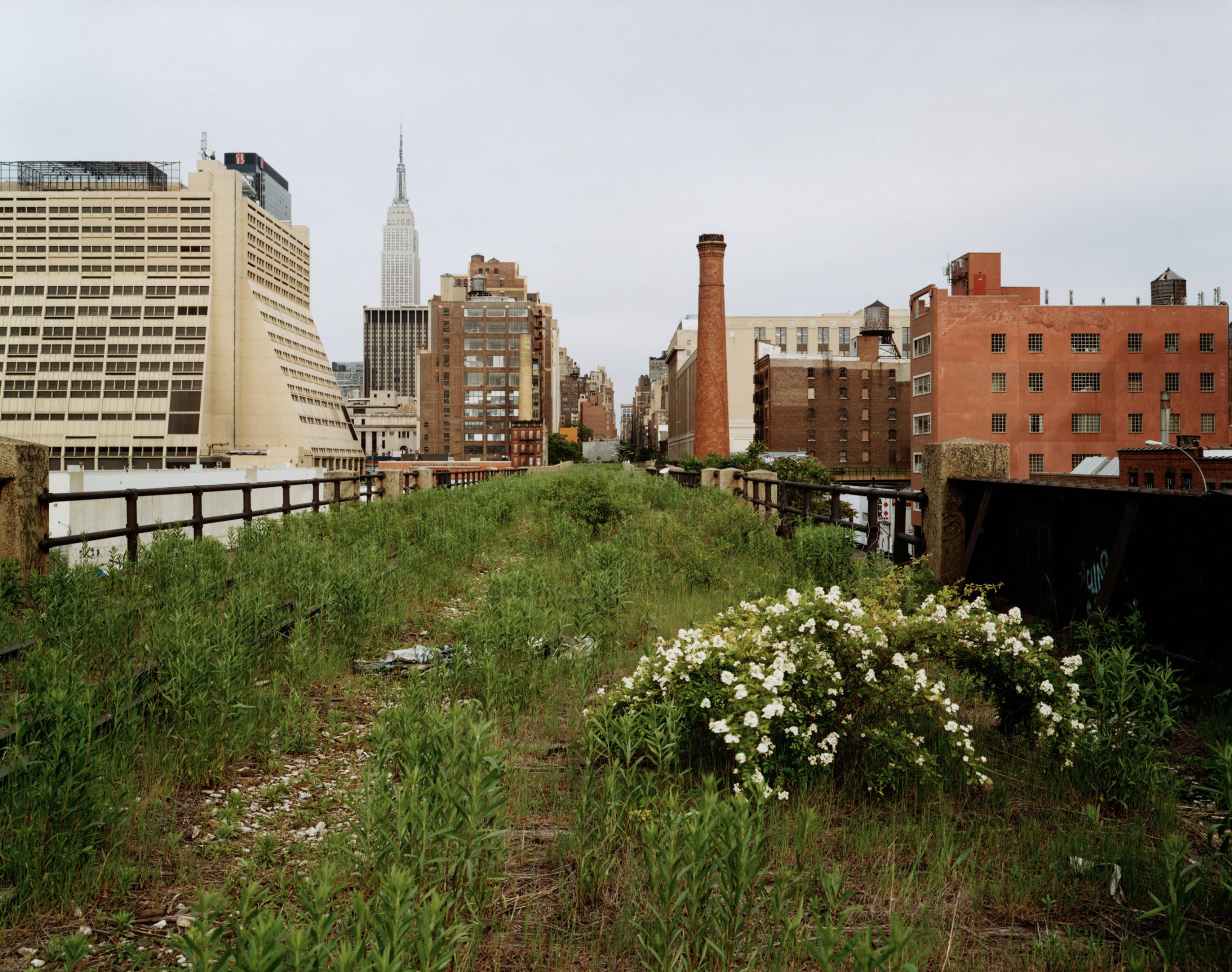 Residues of a Dream World The High Line, 2011