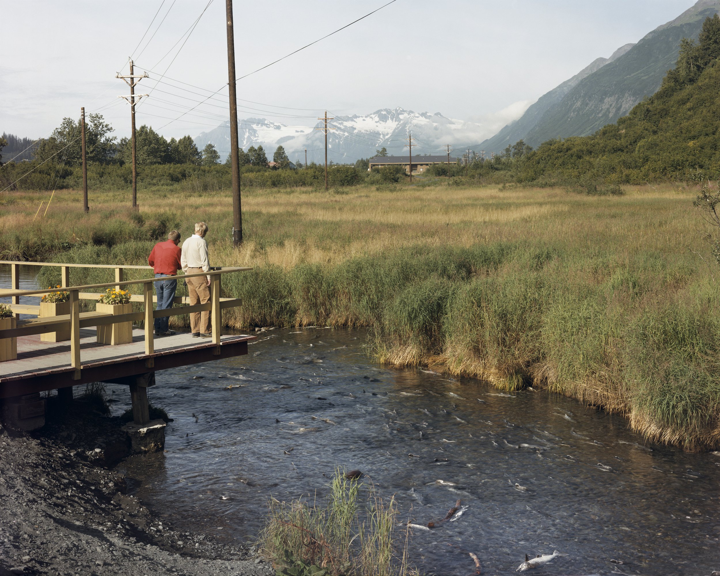 An Observation Deck for Viewing Spawning Salmon, Williwaw Creek, Alaska, August 1984 
