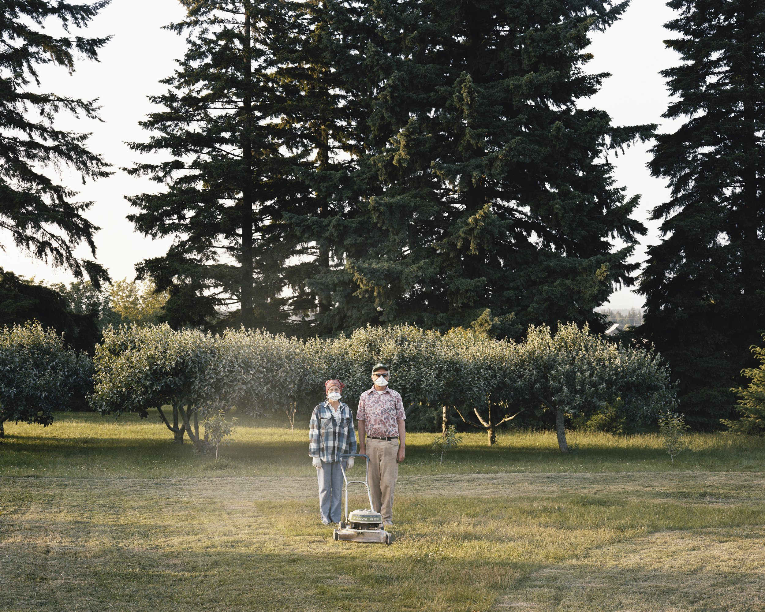  After an Eruption of Mount St. Helens, Vancouver, Washington, June 1980