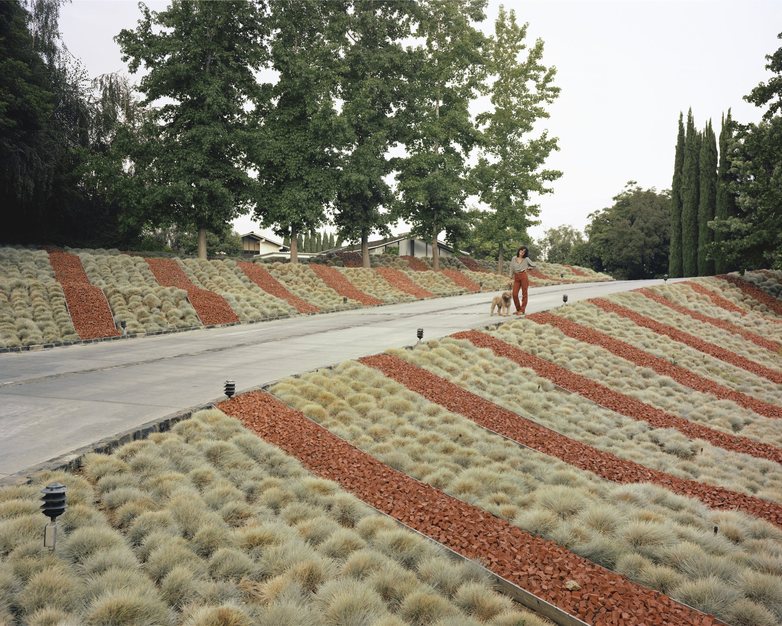 A Striped Lawn, Beverly Hill, May 1979