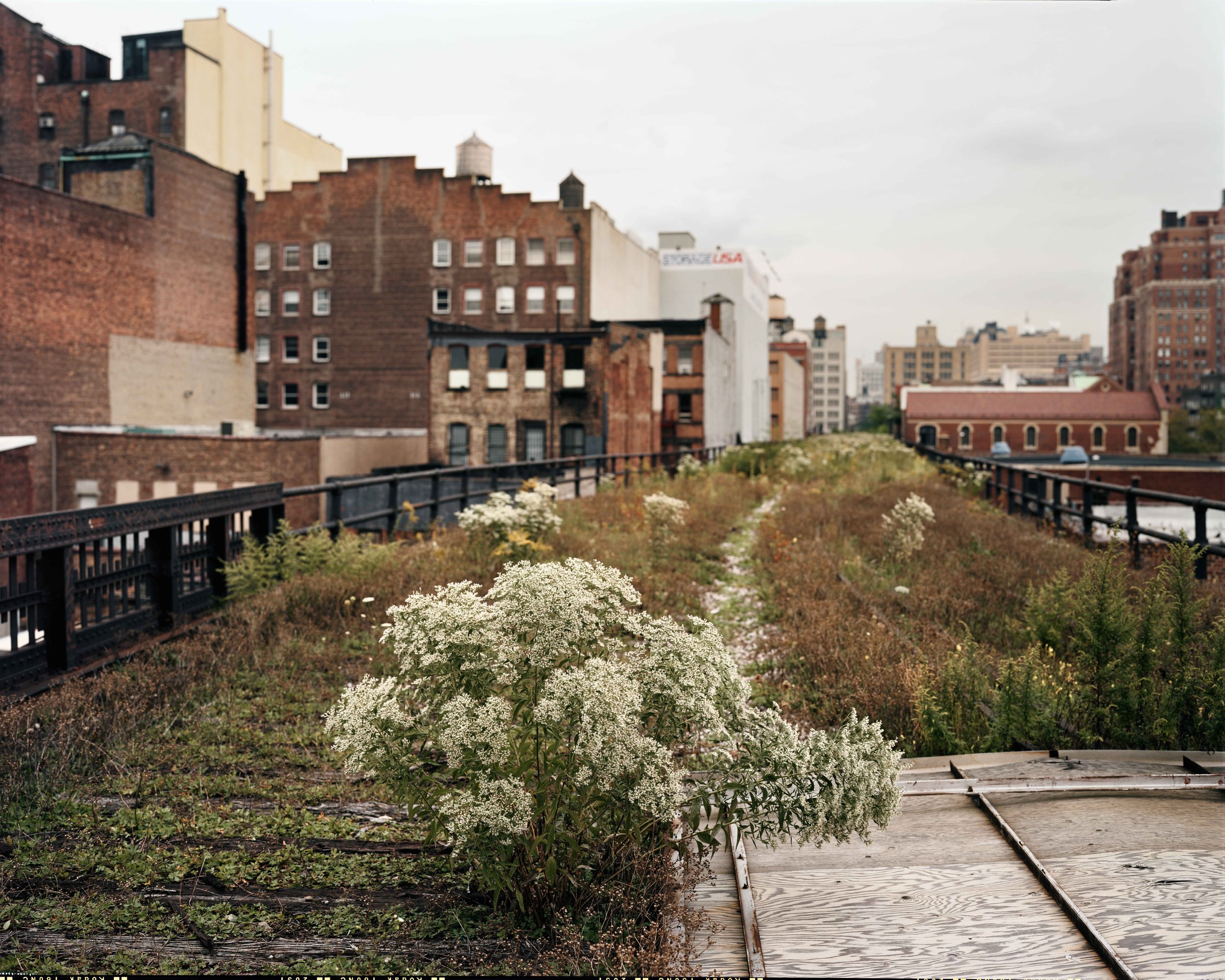 Walking The Highline — Joel Sternfeld