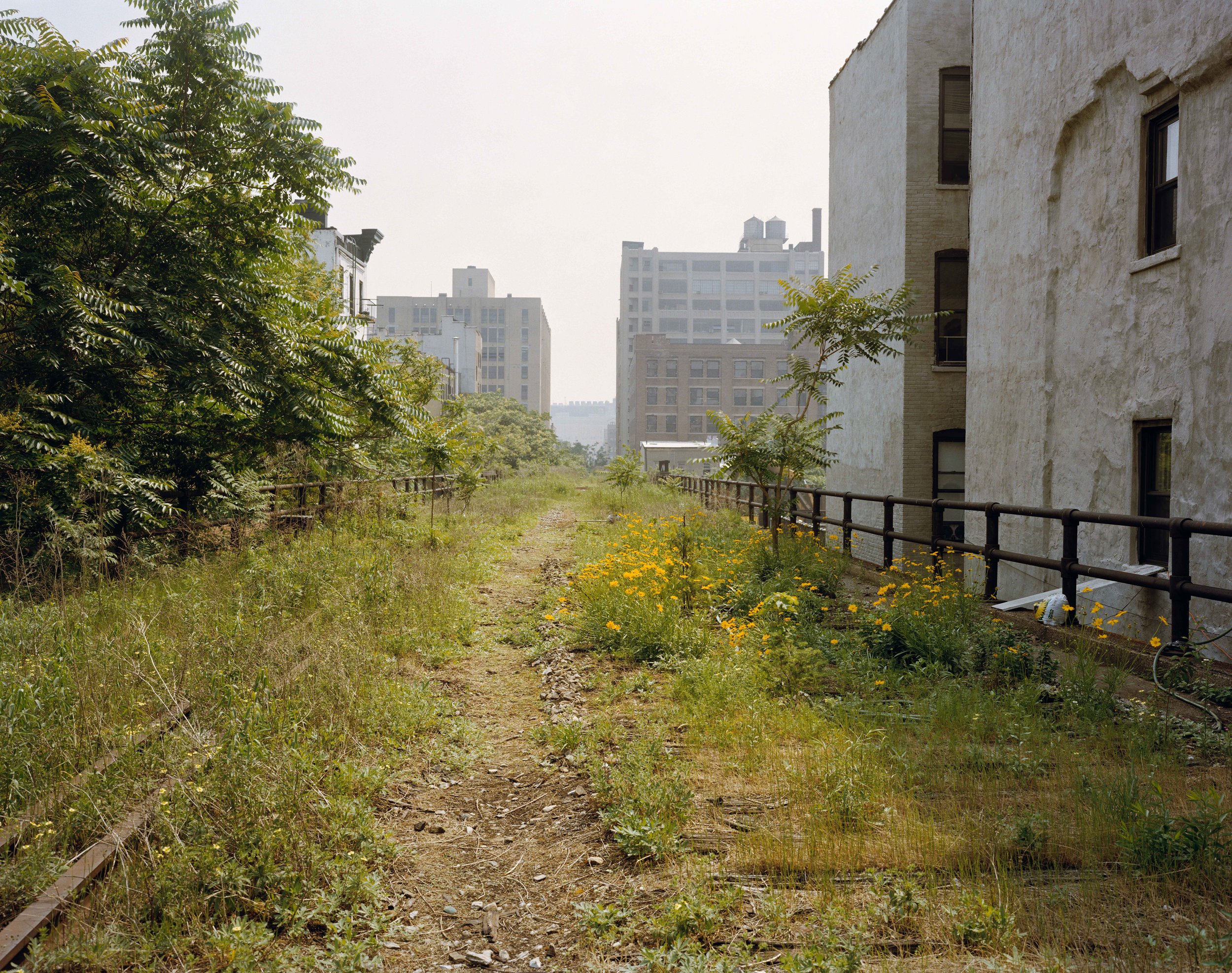 Summer Afternoon, Ken's Garden, June 2001