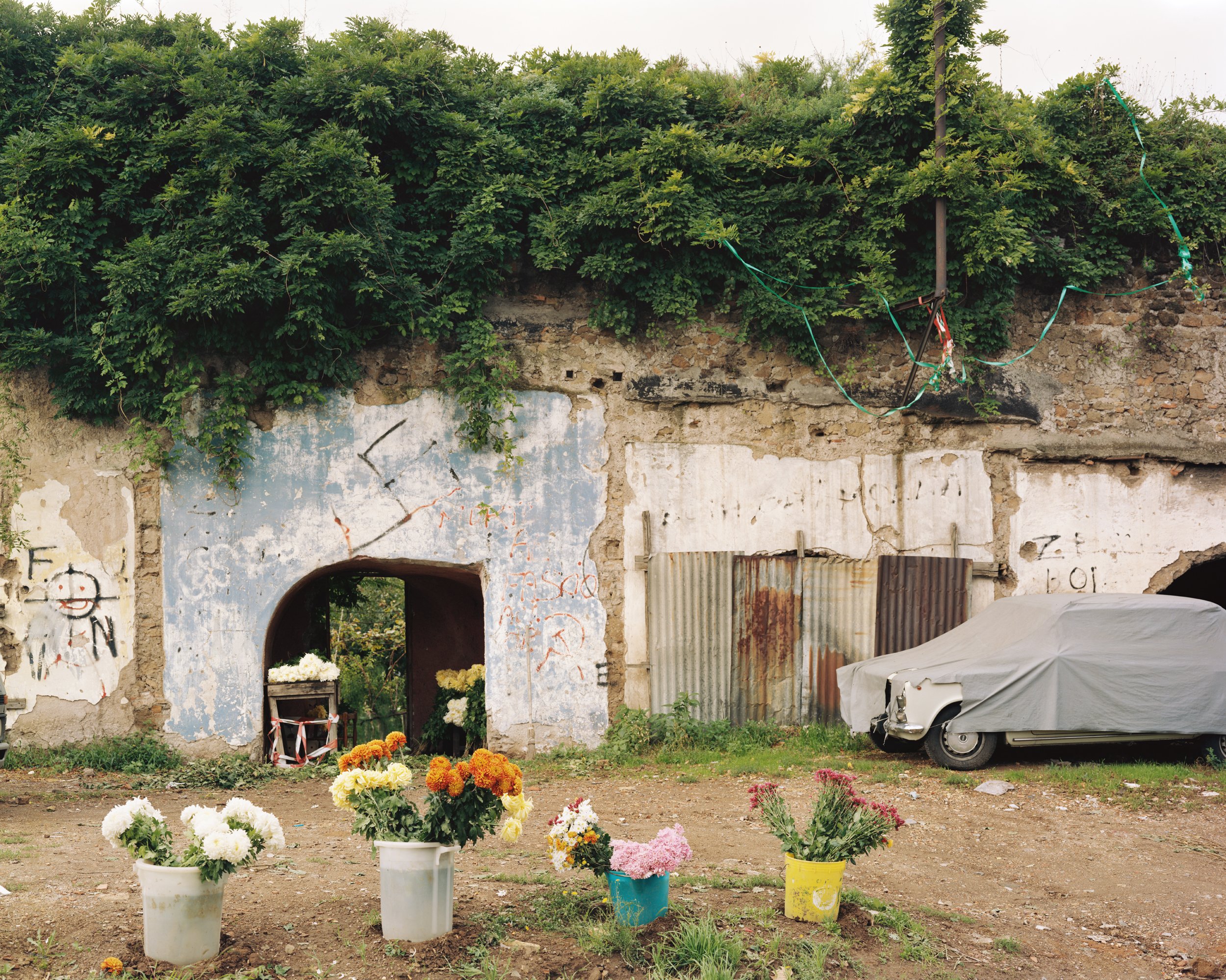 Outtakes_Flowers In Bucket_SC_adj_FABaryta_22x28.jpg