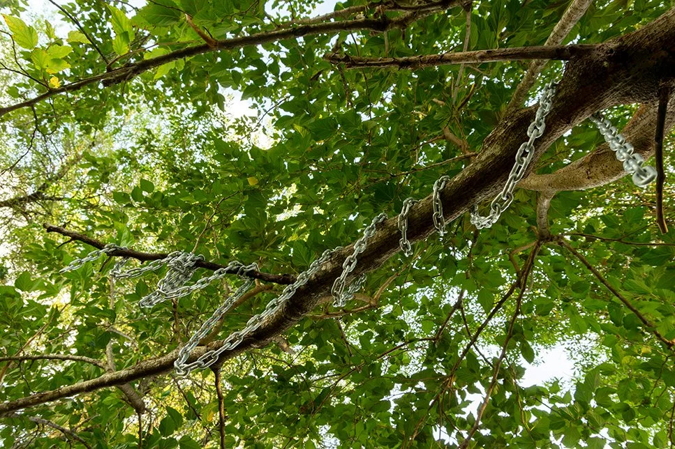 Imitation/Constriction