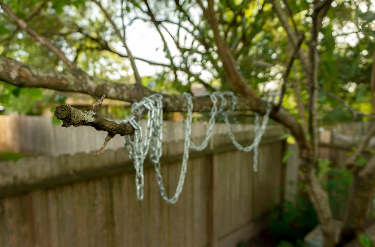 Imitation/Constriction