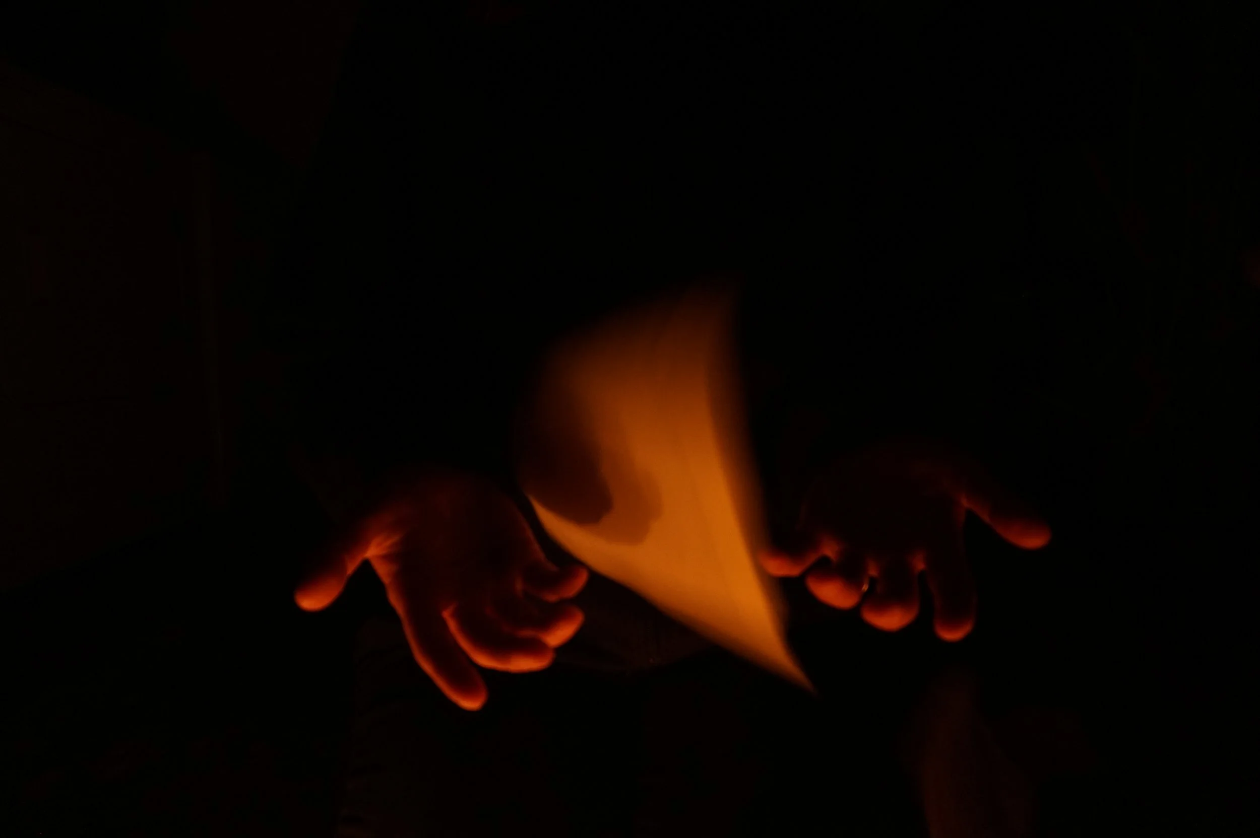 It Was a Pleasure To Burn