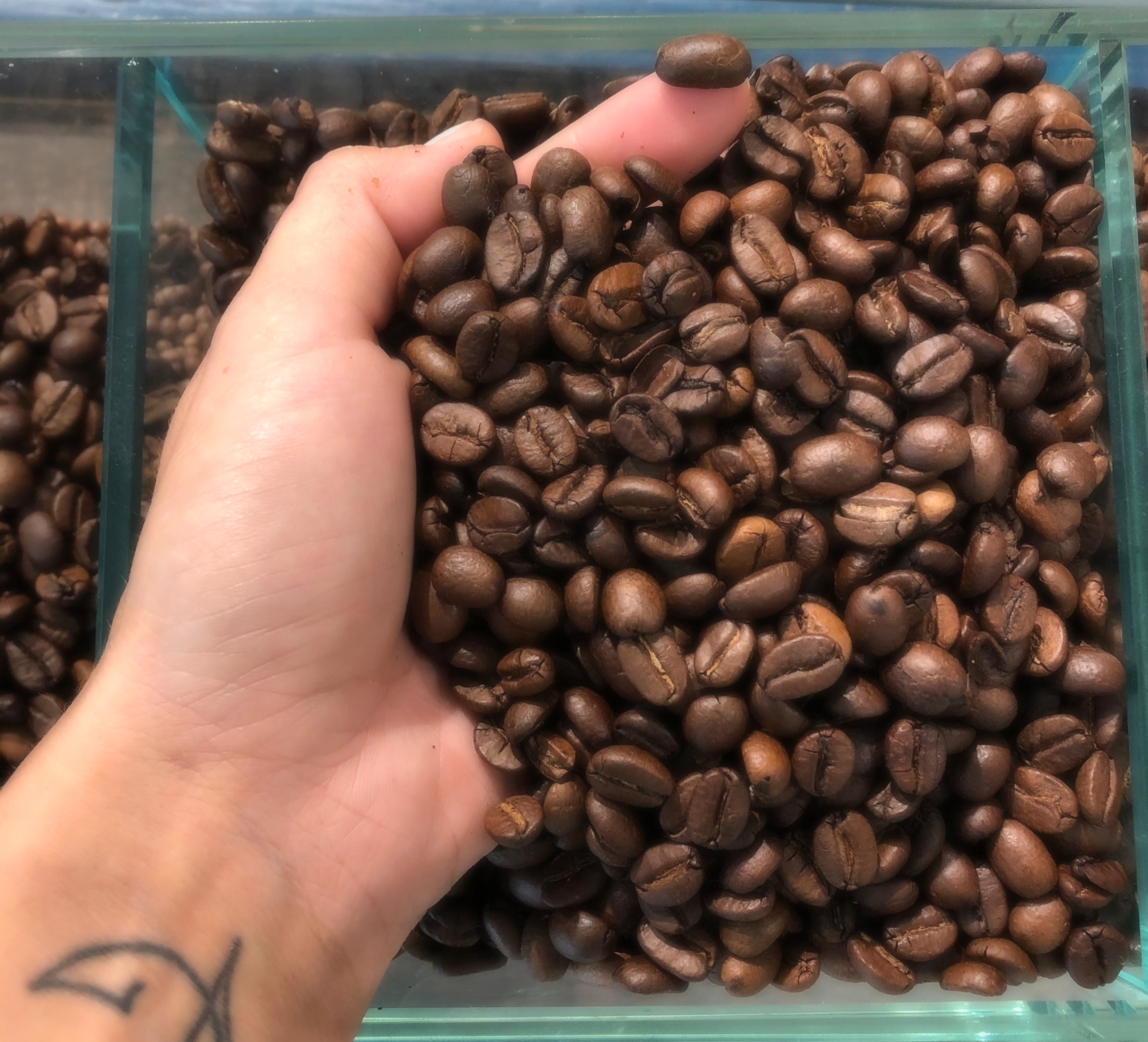 Il gusto del Caffè!