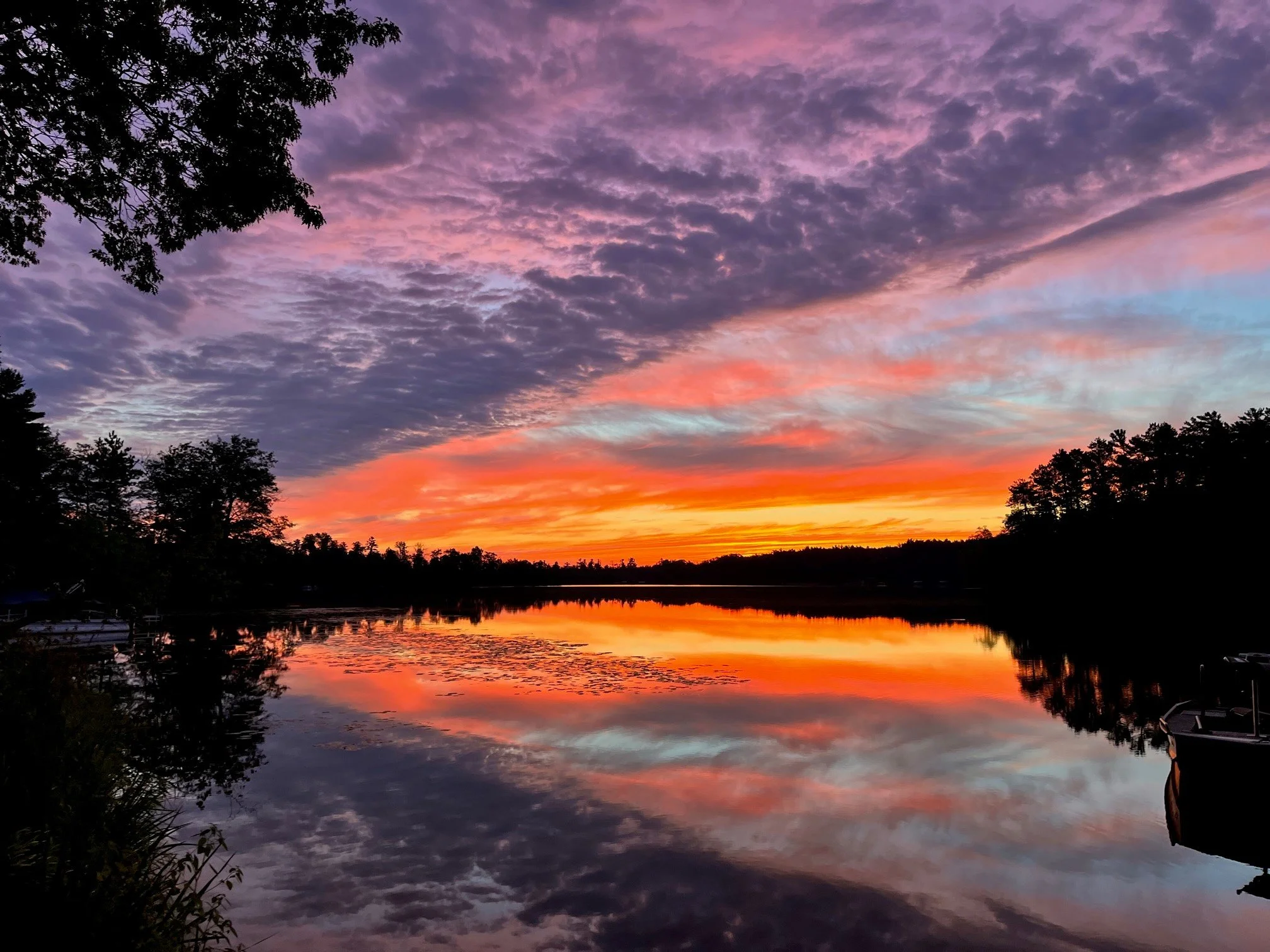 bp sUNRISE 2022.jpg