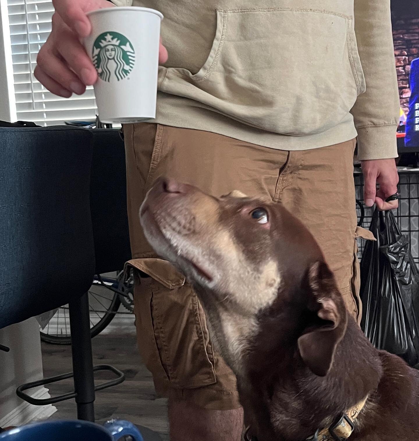 Find someone that looks at you like Nellie looks at her pup cup.