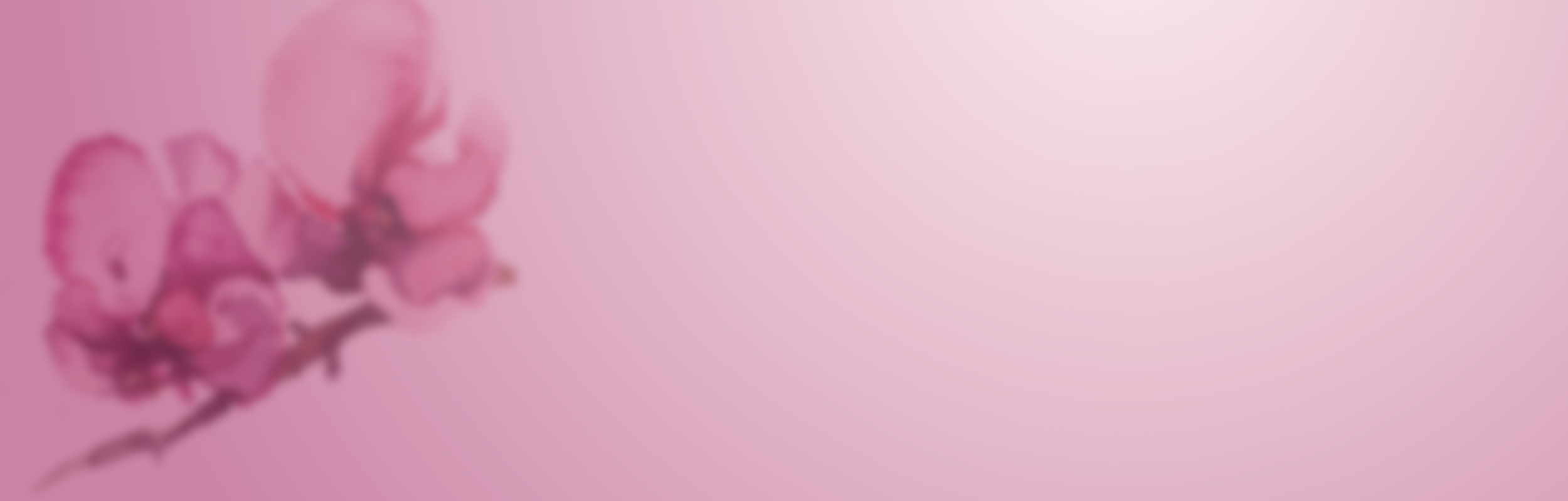 orchid3.png