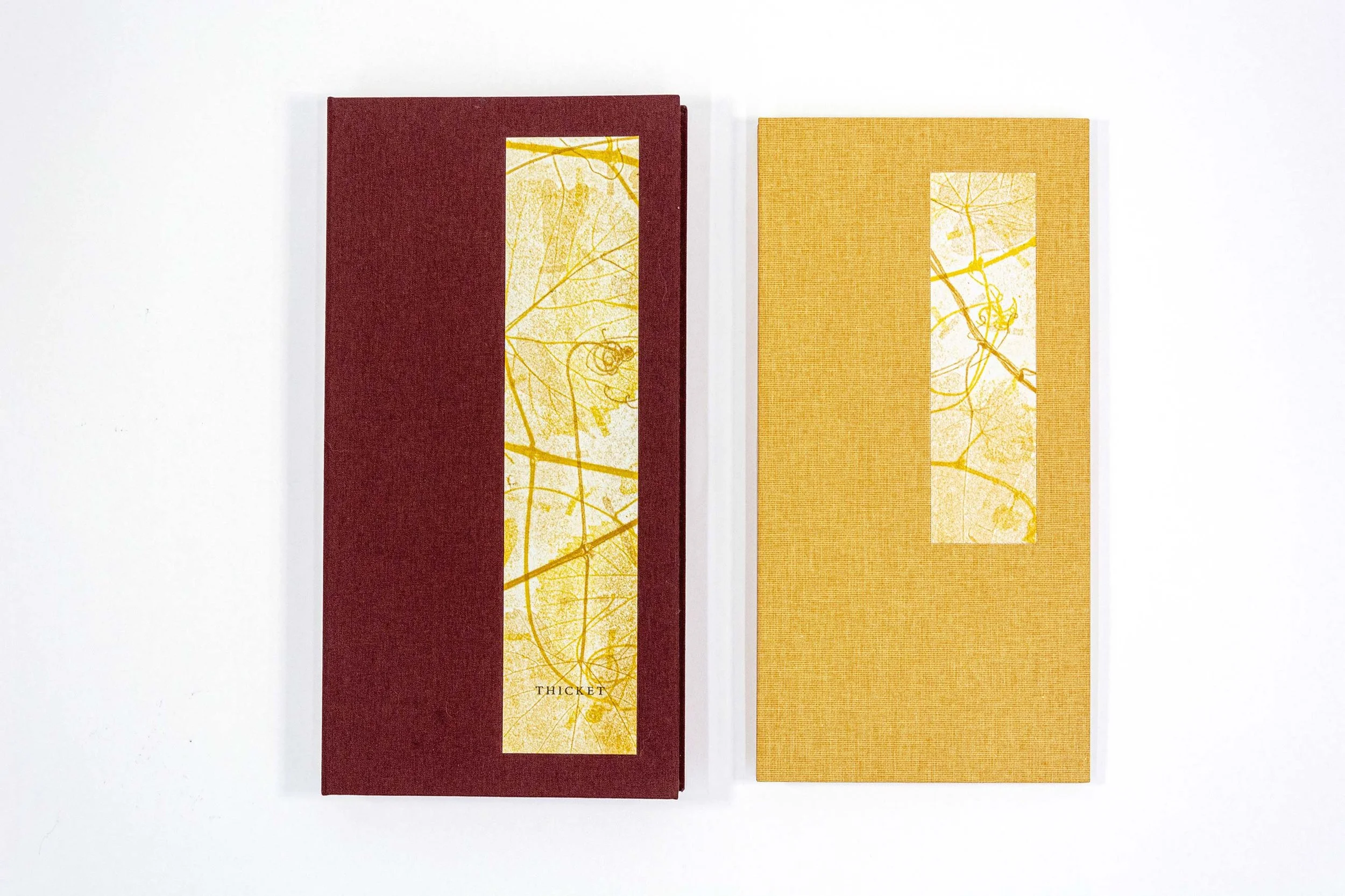 thicket-5_edit_web.jpg