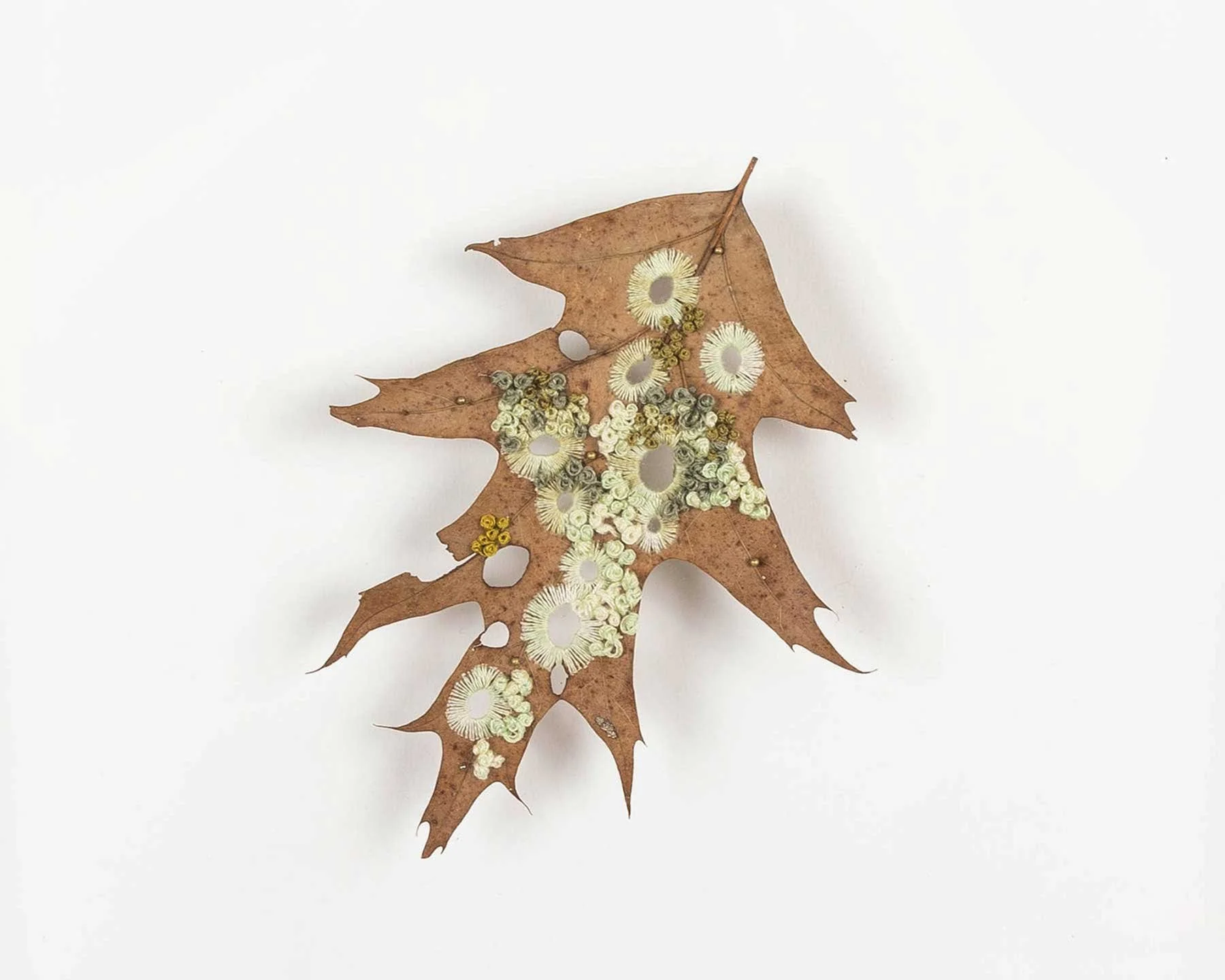 oakmoss_osls_detail_web.jpg