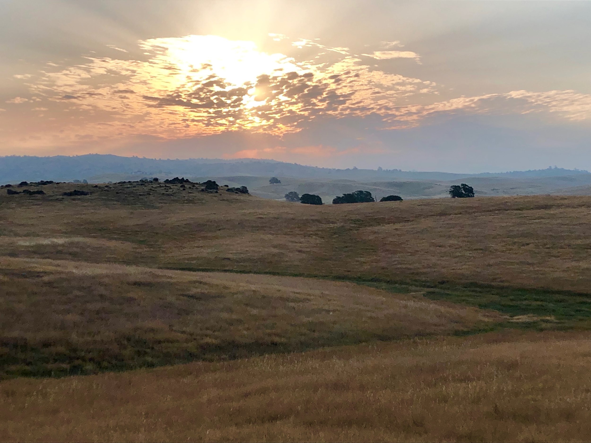 Ranch+horizon+May+2019+2.jpg