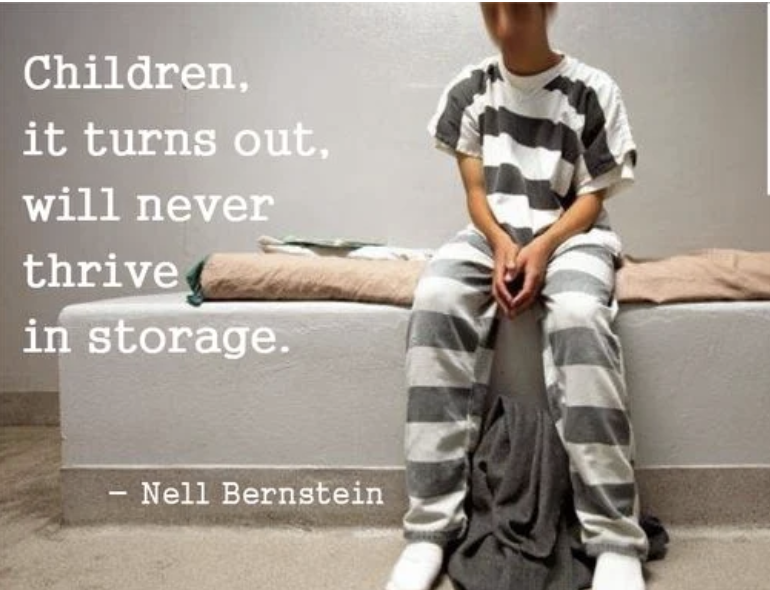 Burning Down the House – The End of Juvenile Prison - A Reader's Thoughts
