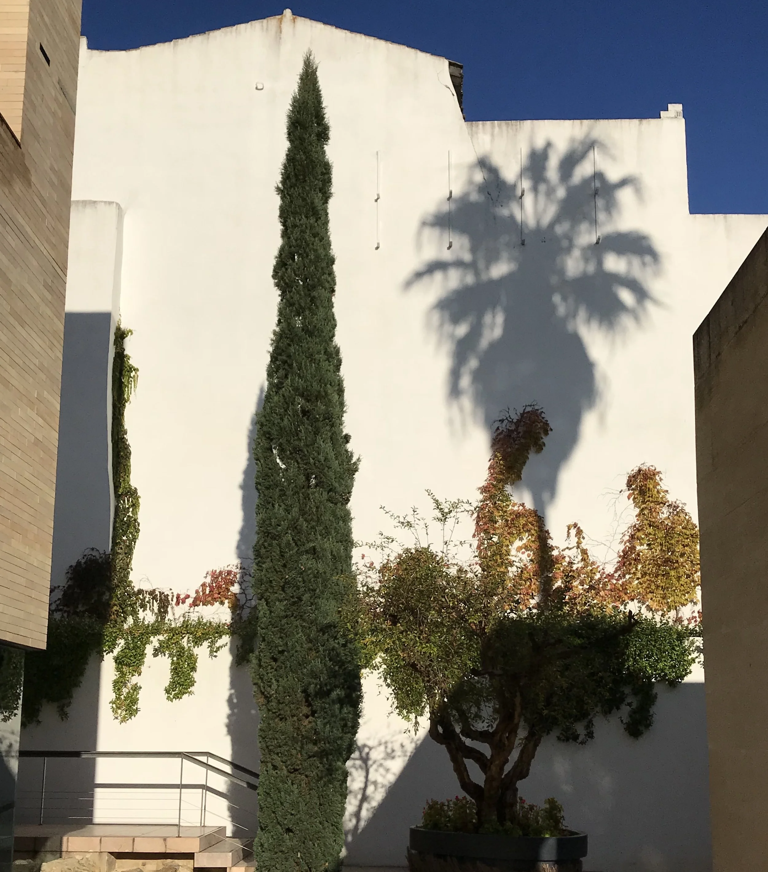 FullSizeRender.jpg