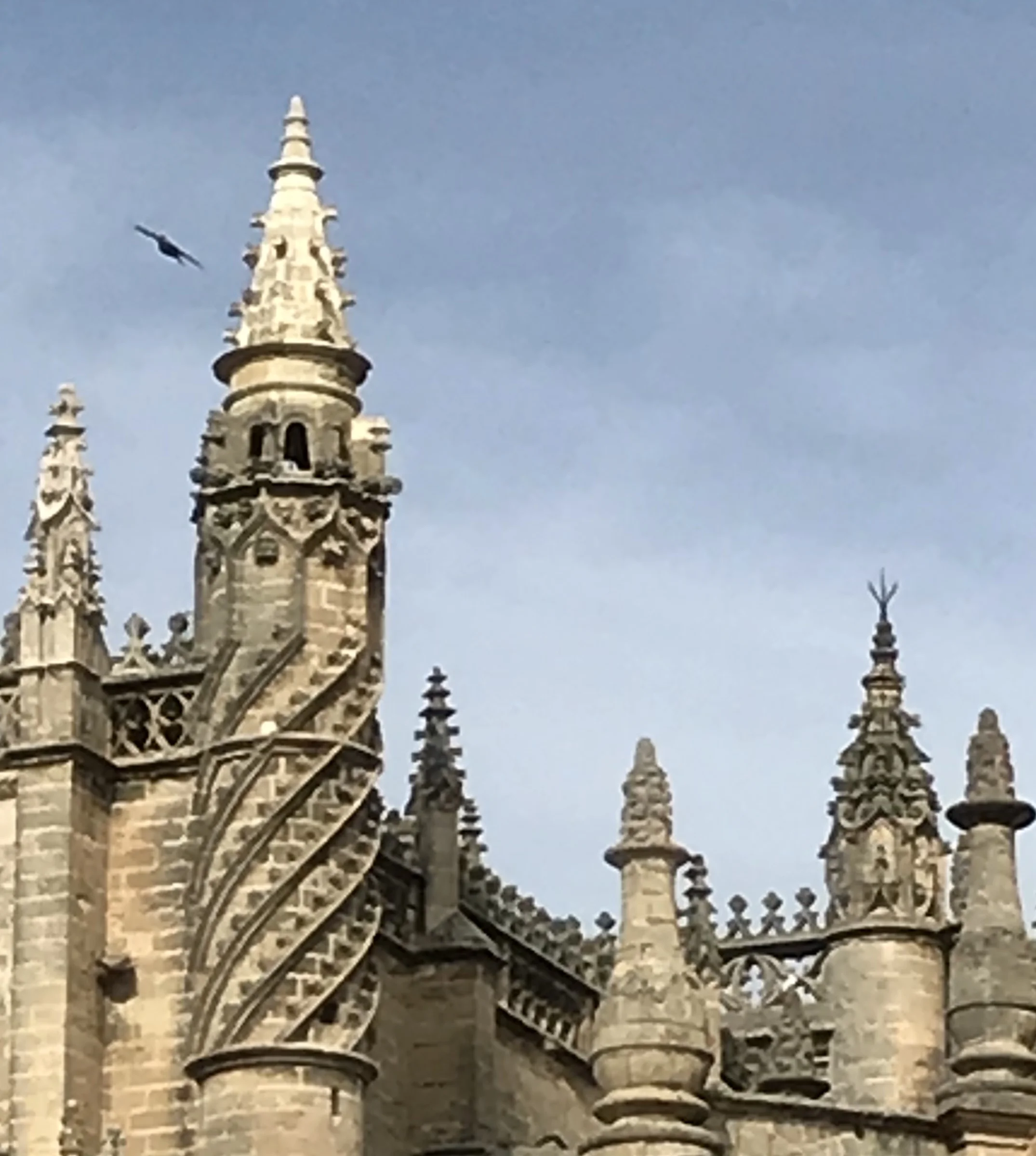 The cathedral next door to the Real Alcazar