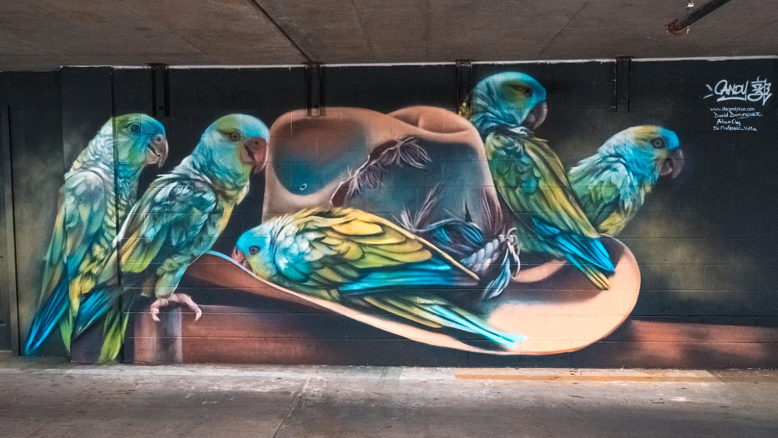 Music Lane - Candy Kou - Parrot Mural-3.png