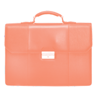 briefcase.png