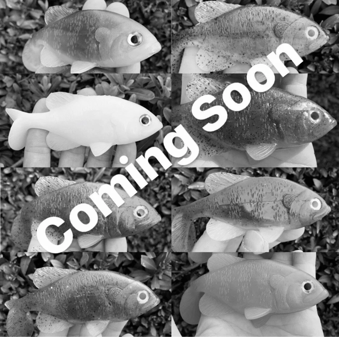 Gill Coming Soon.JPG
