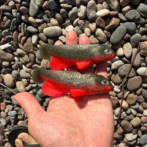 yuniquebaits G-Walk 新品未使用 Yunique Baits