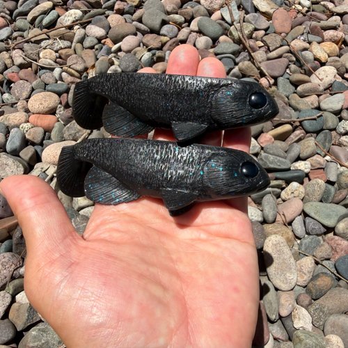 Yunique Baits