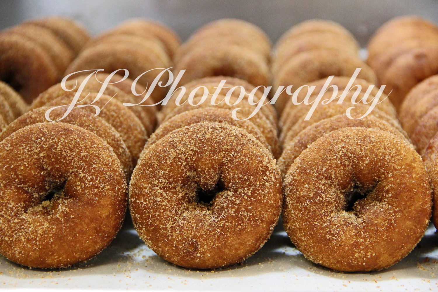 donuts.jpg