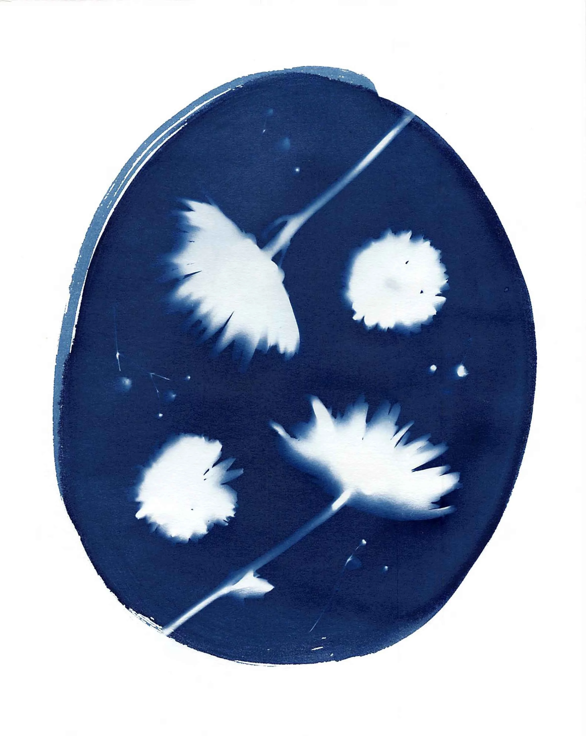 A blue and white cyanotype with flowers.