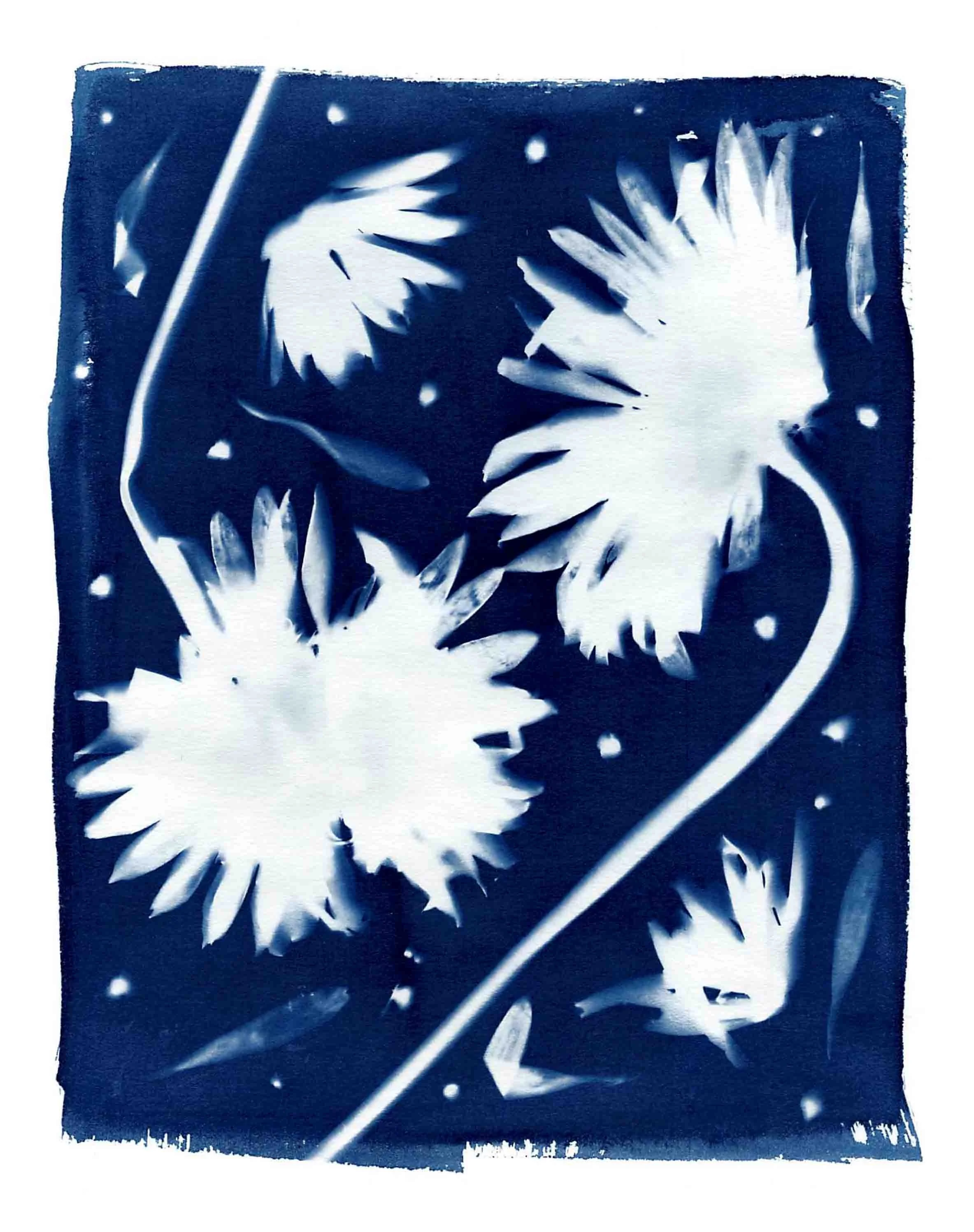 A blue and white cyanotype with flowers. Petals are clearly visible.