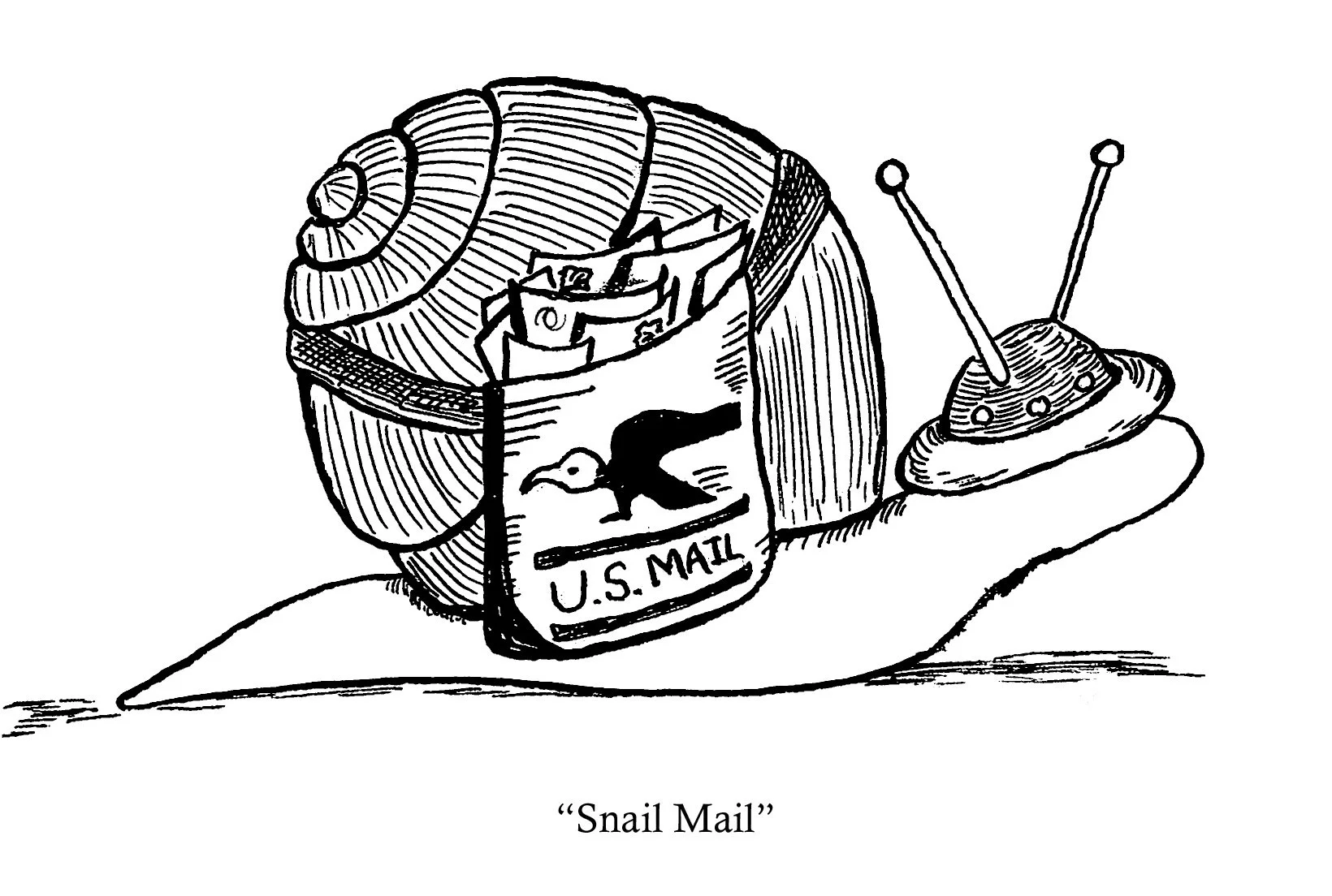 A line drawing of a snail with a U.S. mail envelope on its shell, titled "Snail Mail."