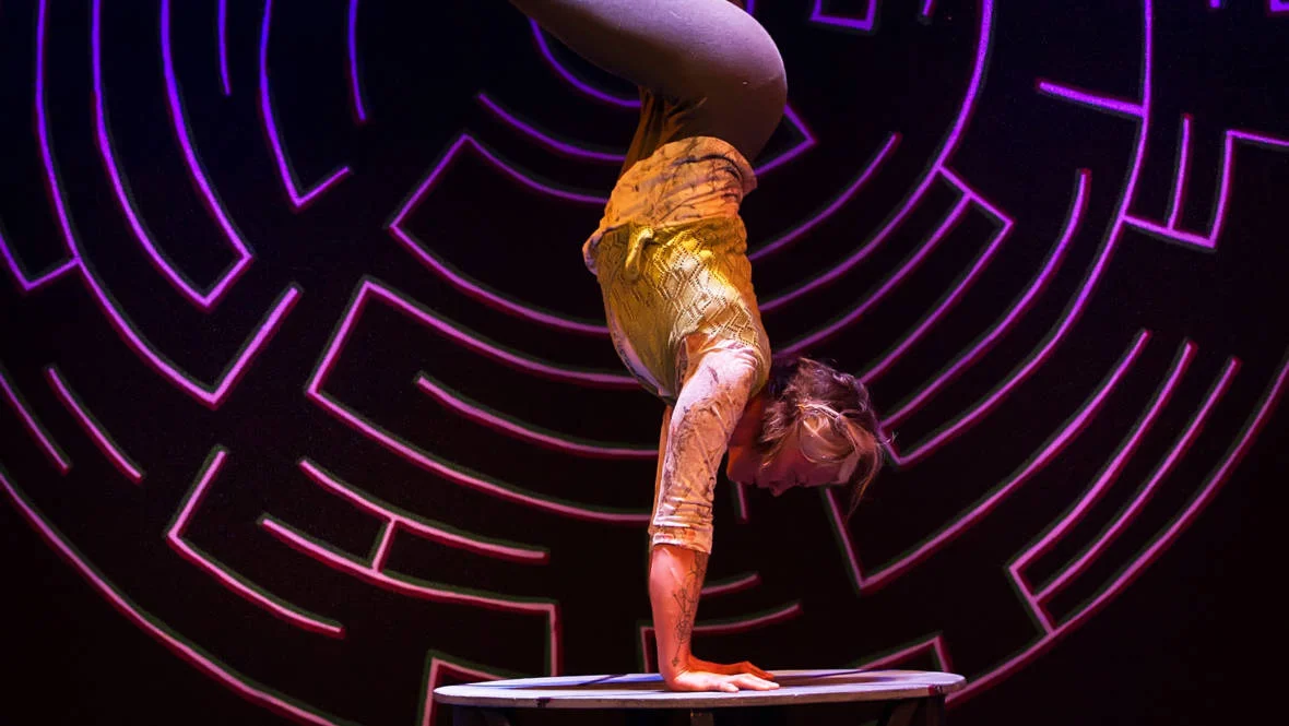 In 'Circus Veritas,' Sly, Dazzling Deceit Takes Center Ring