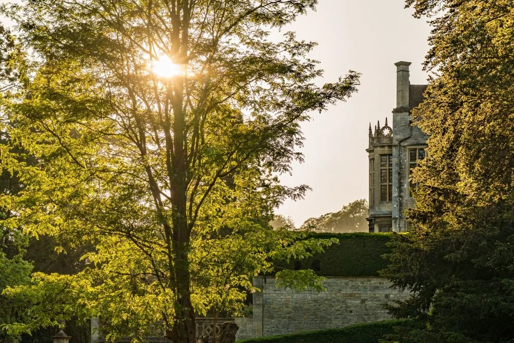 Sun shining through the trees near an old stone building with ornate architecture.