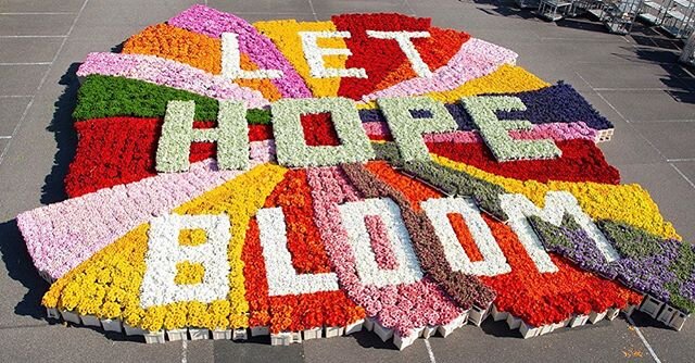 Happy Easter everyone 🐣
We loved this beautiful floral message of hope from the Flower Council of Holland. 
Flowers speak the international language of love and friendship, of gratitude, support and consolation. And of hope. Whether you can actually
